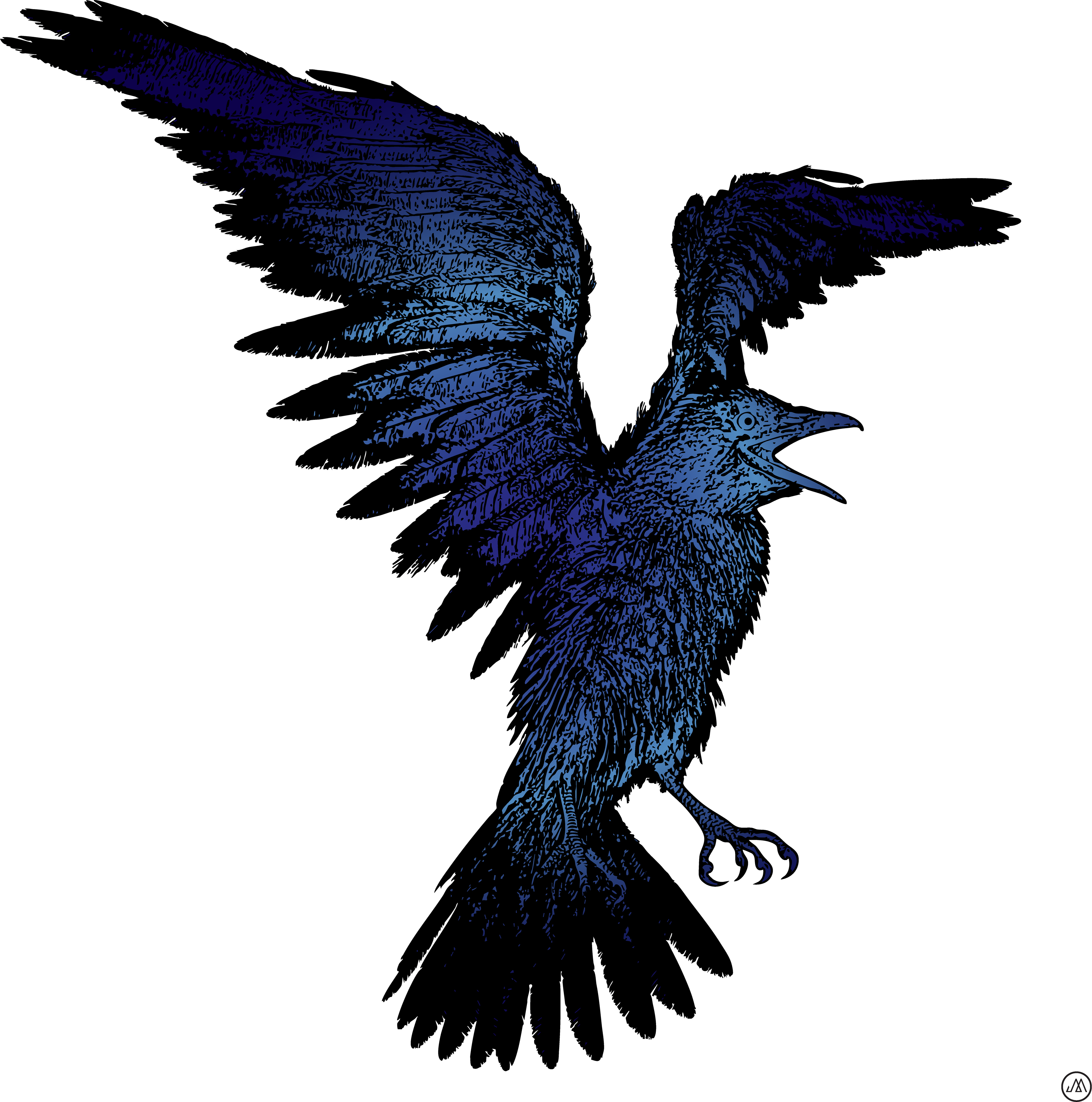 Adobe Illustrator Vector