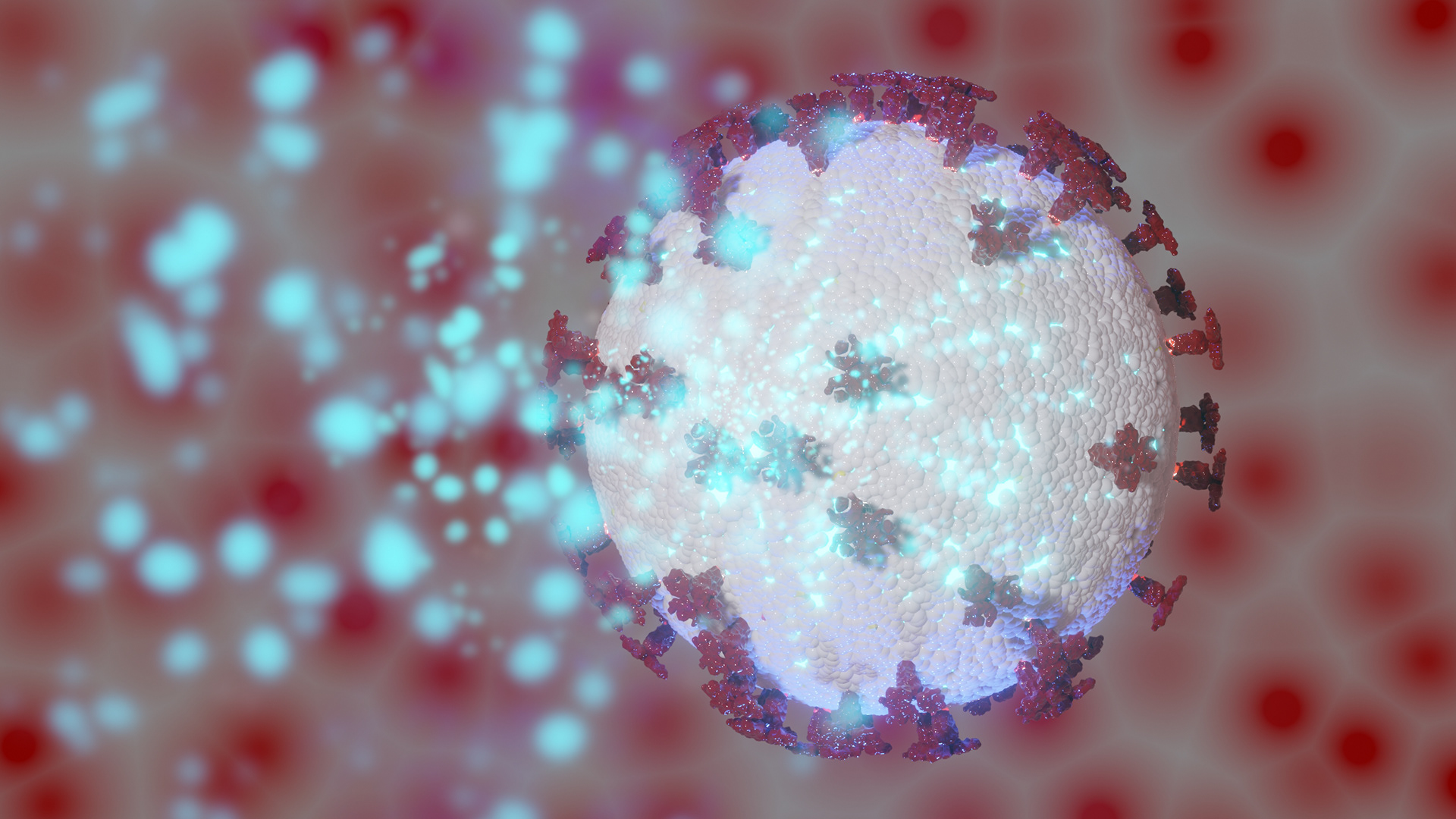 Corona Virus
