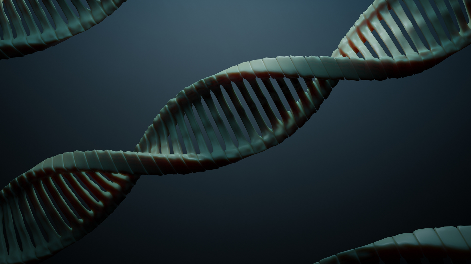 DNA Strand