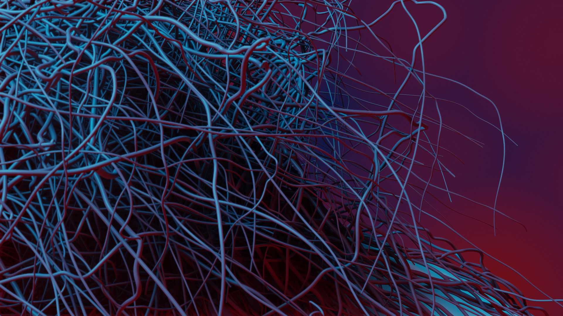 Capillaries