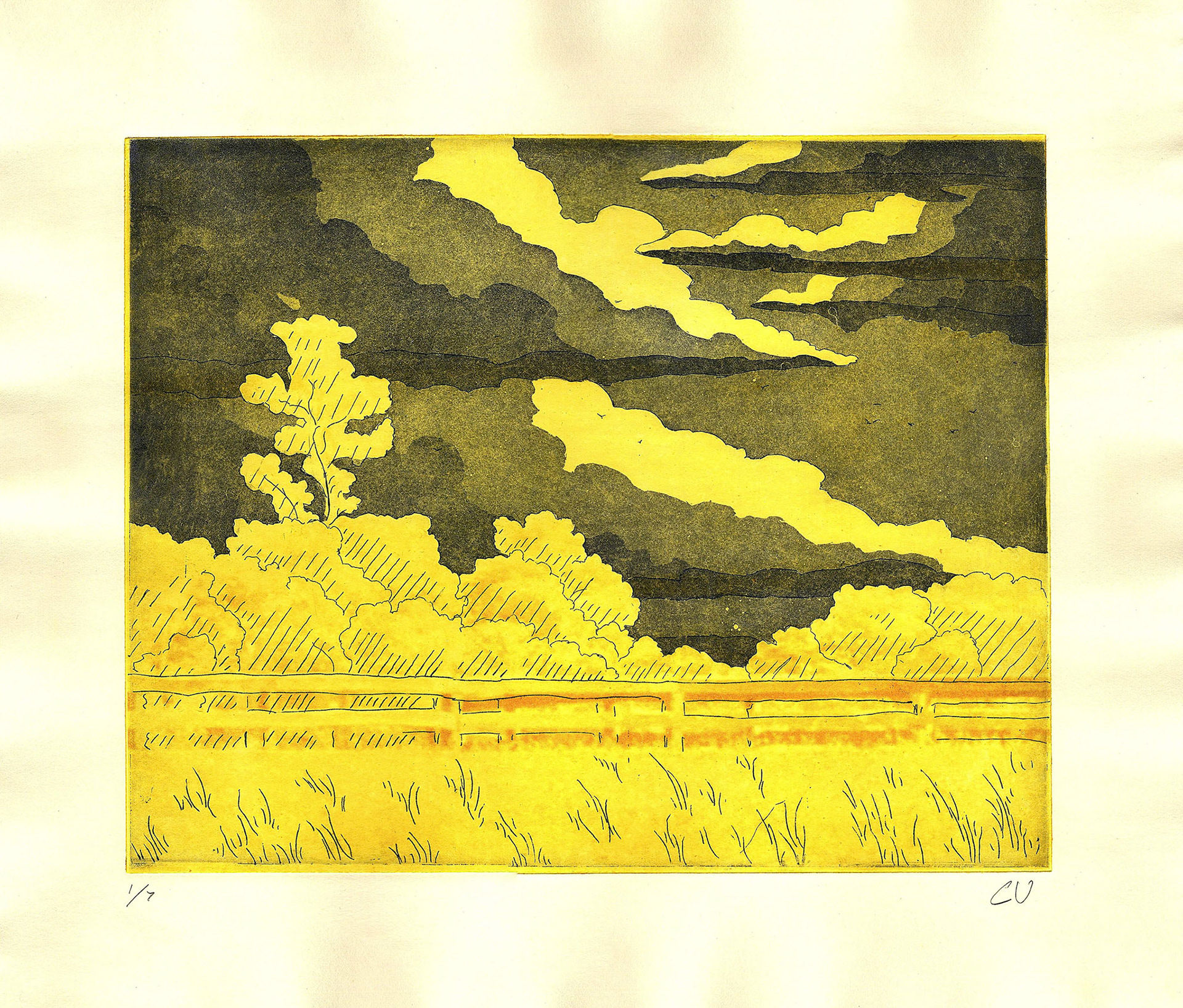 Late Summer, 2019, polymer plate photogravure. 