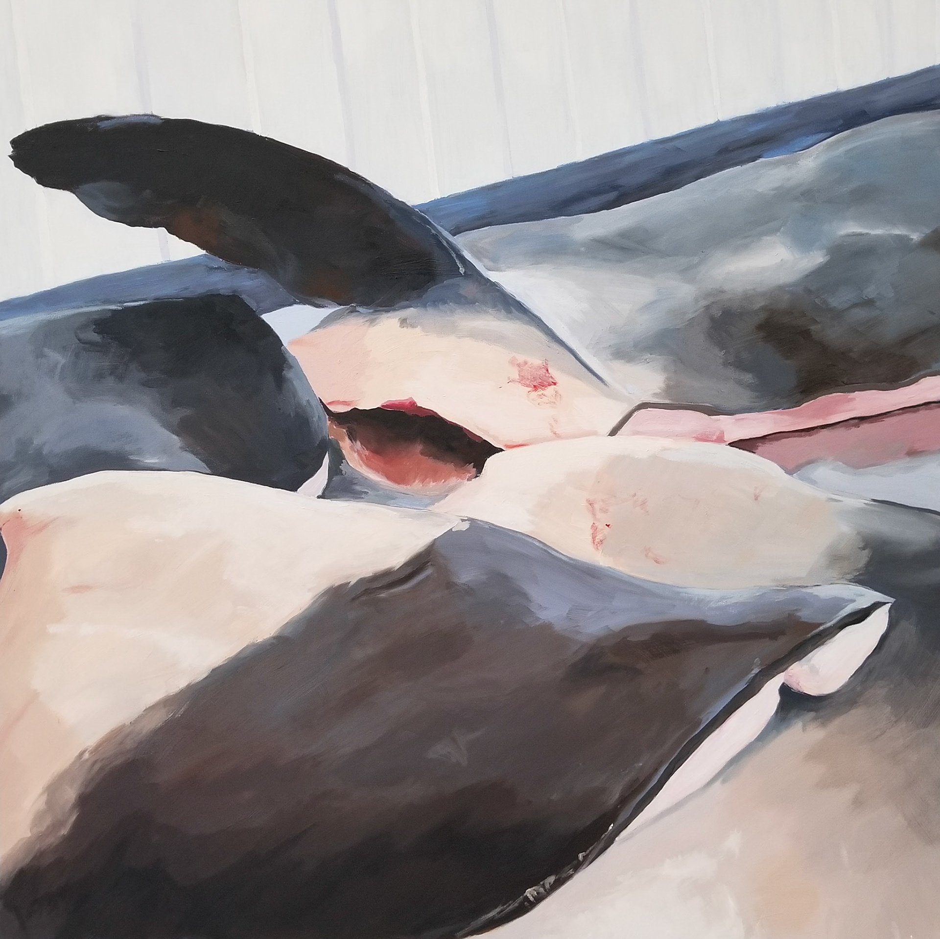 Dolphin, 2019, oil on canvas.