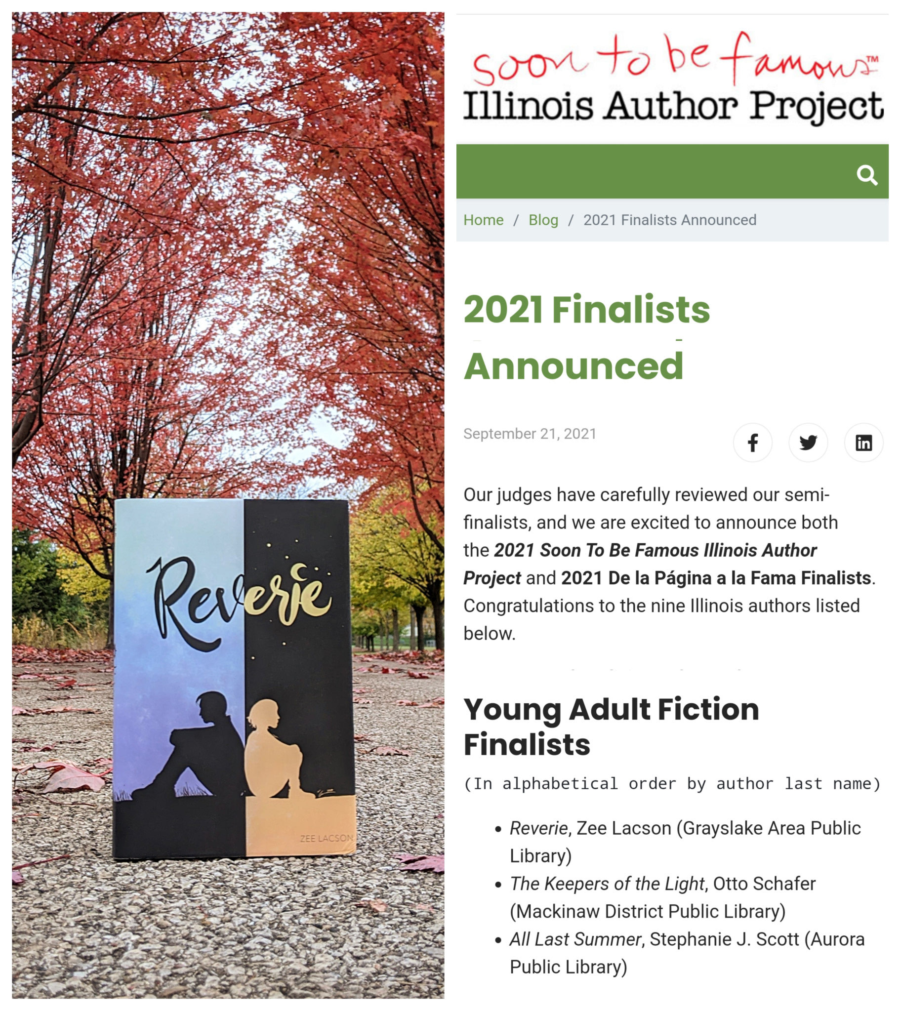 Illinois Author Project Finalist 2021