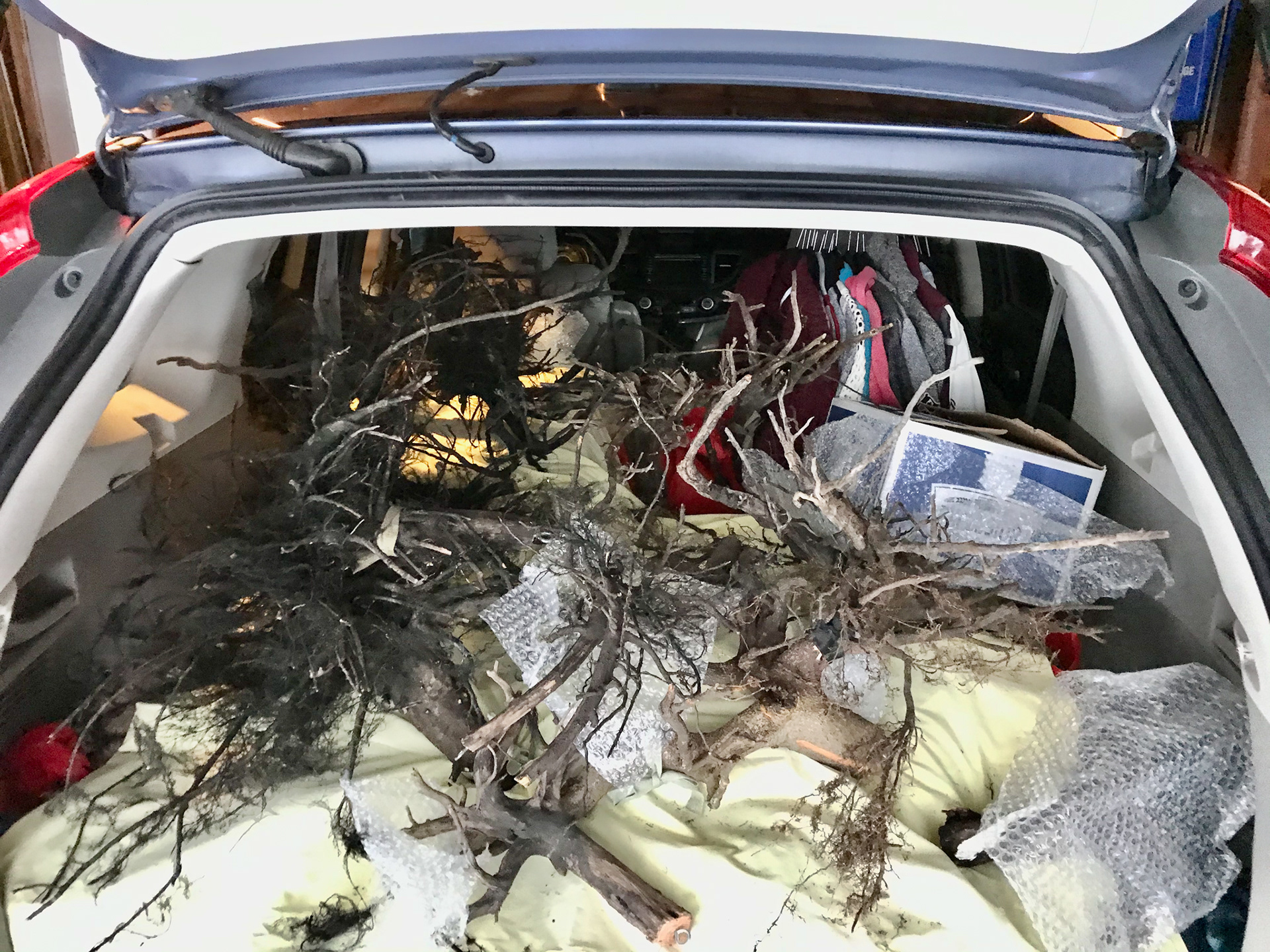 transportation to exhibition, 1 of 3
