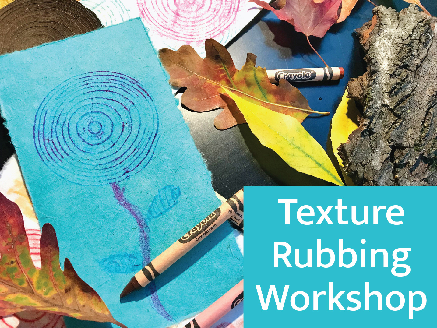Texture Rubbing Workshop at Hawthorn Hollow by Resident Artist Sinclair Myhre
