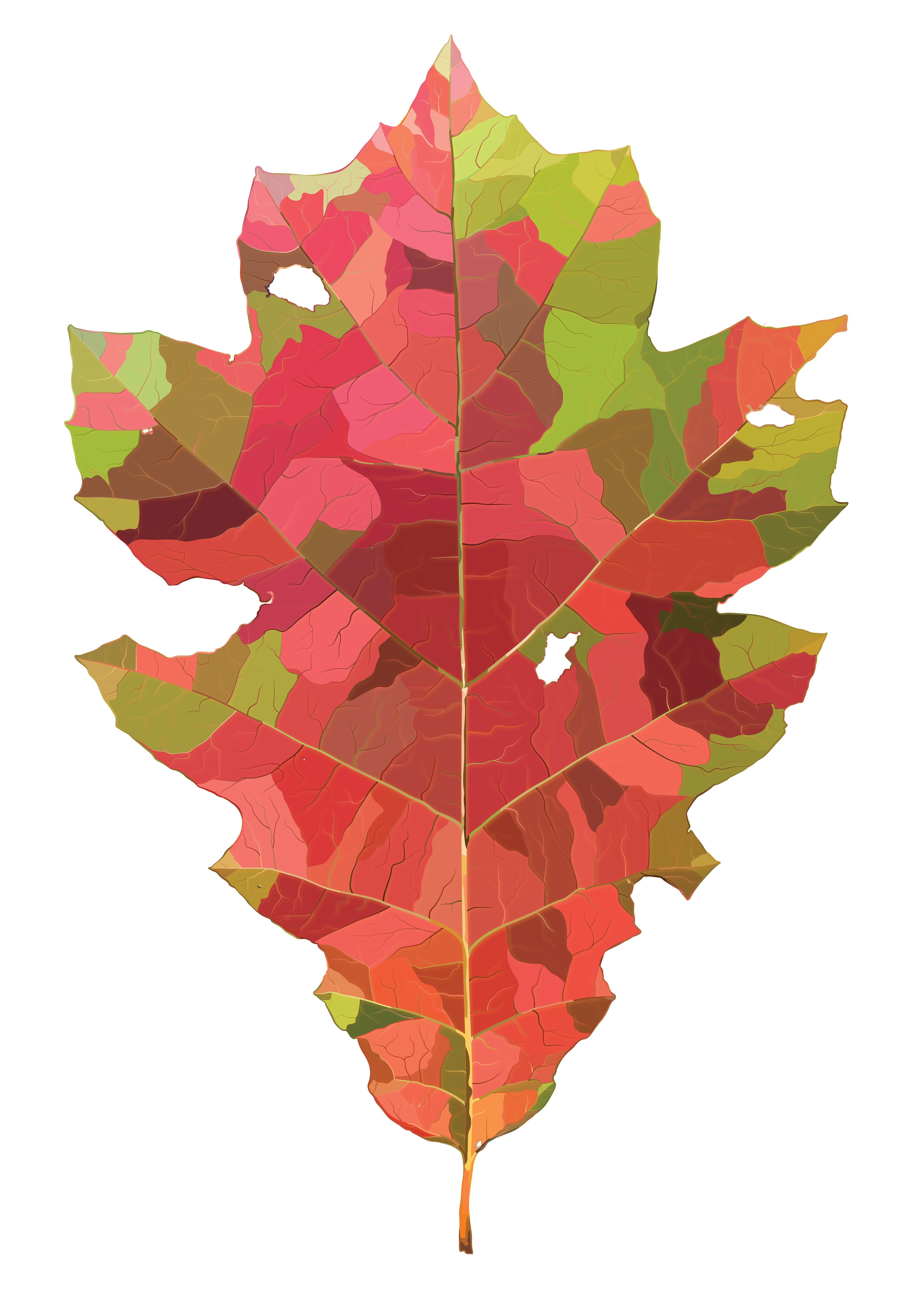 Northern Red Oak | Quilted Style