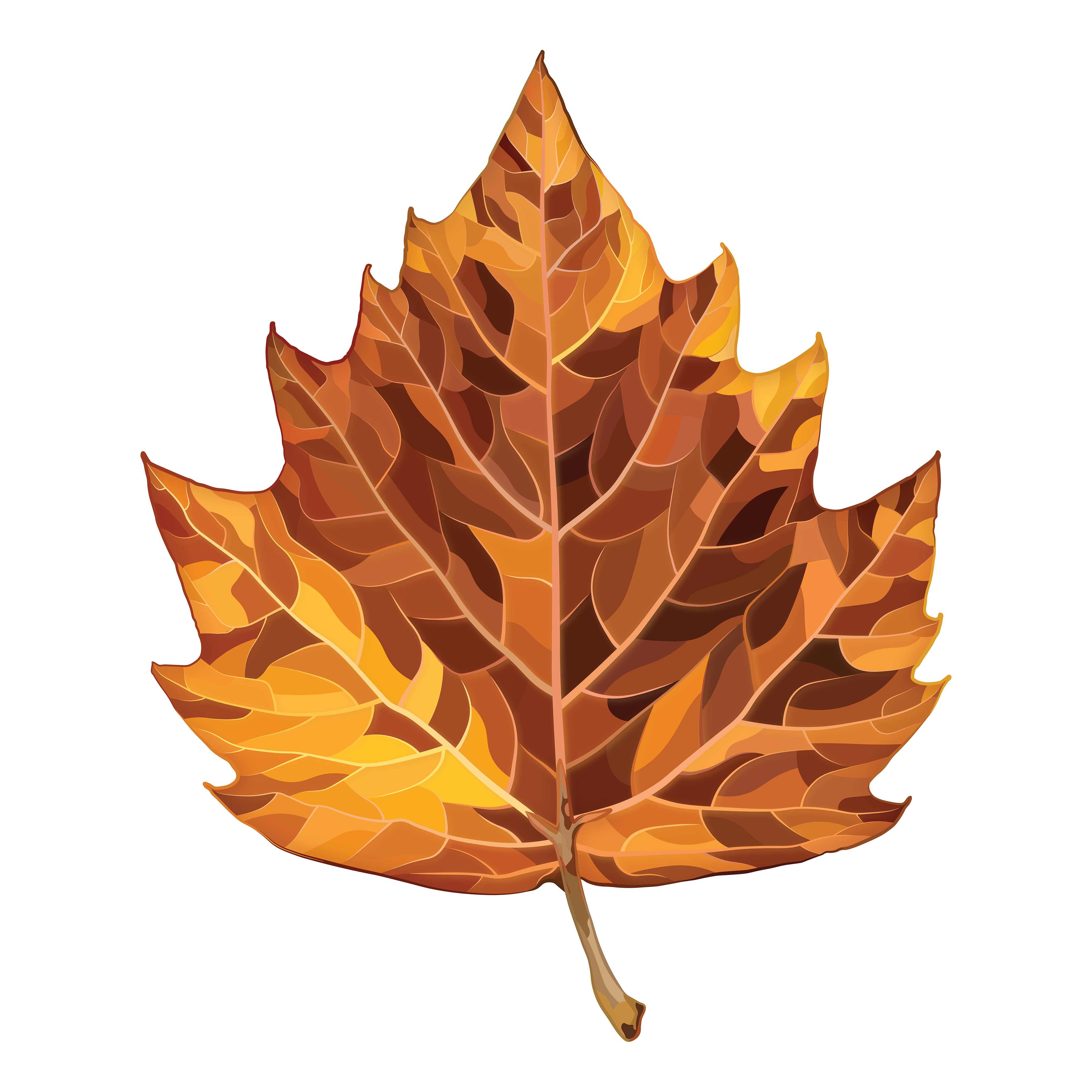 American Sycamore | Quilted Style
