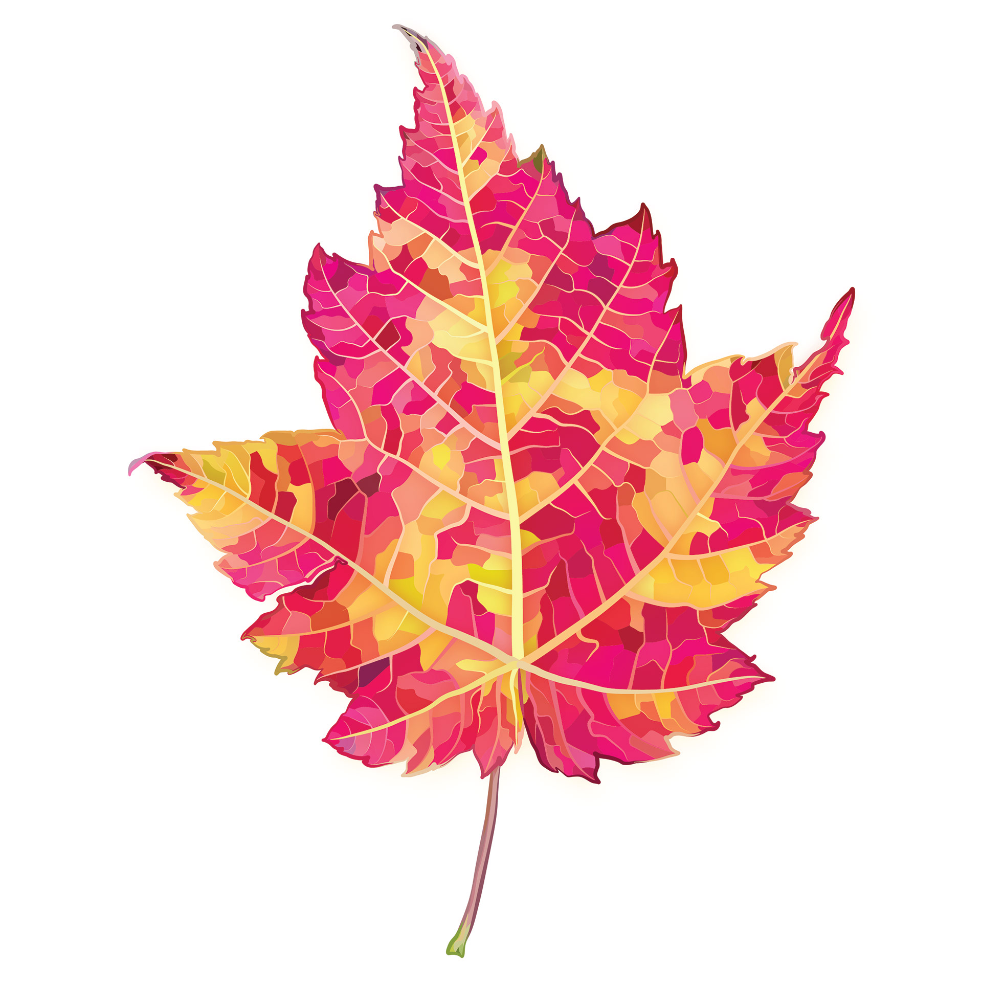 Cotton Candy Red Maple | Quilted Style