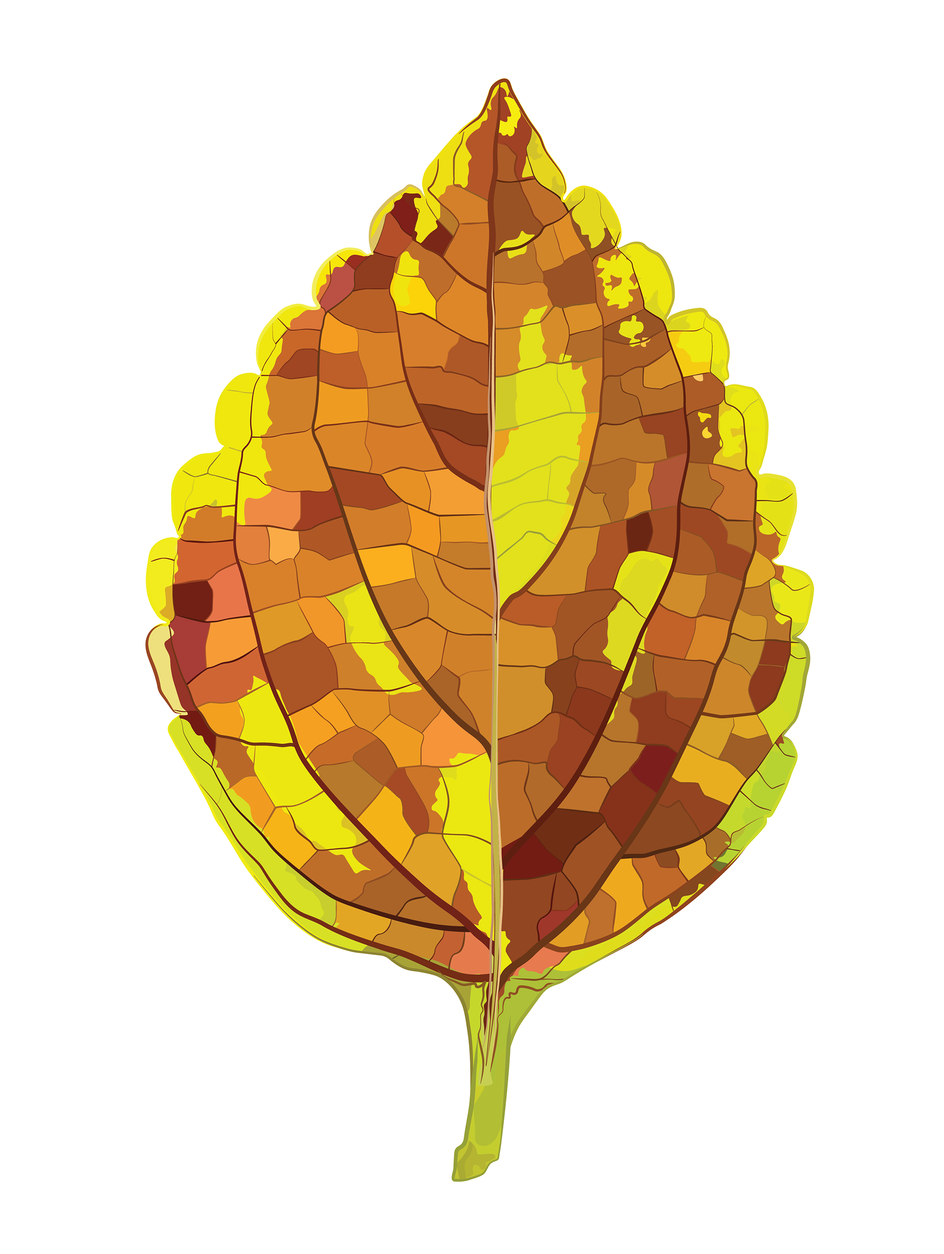 Coleus, front | Quilted Style