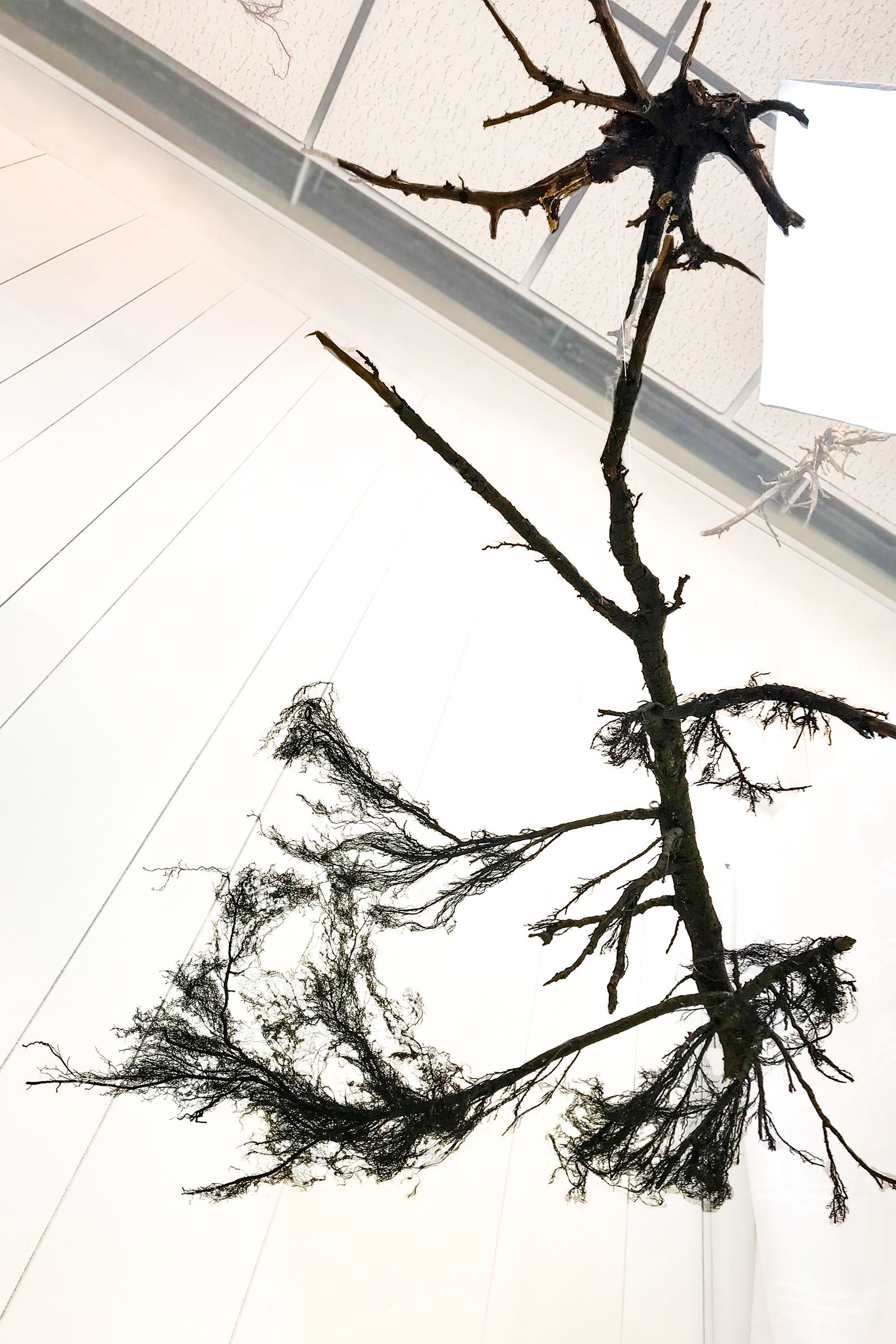 Earth Day Exhibition | Kenosha Creative Space