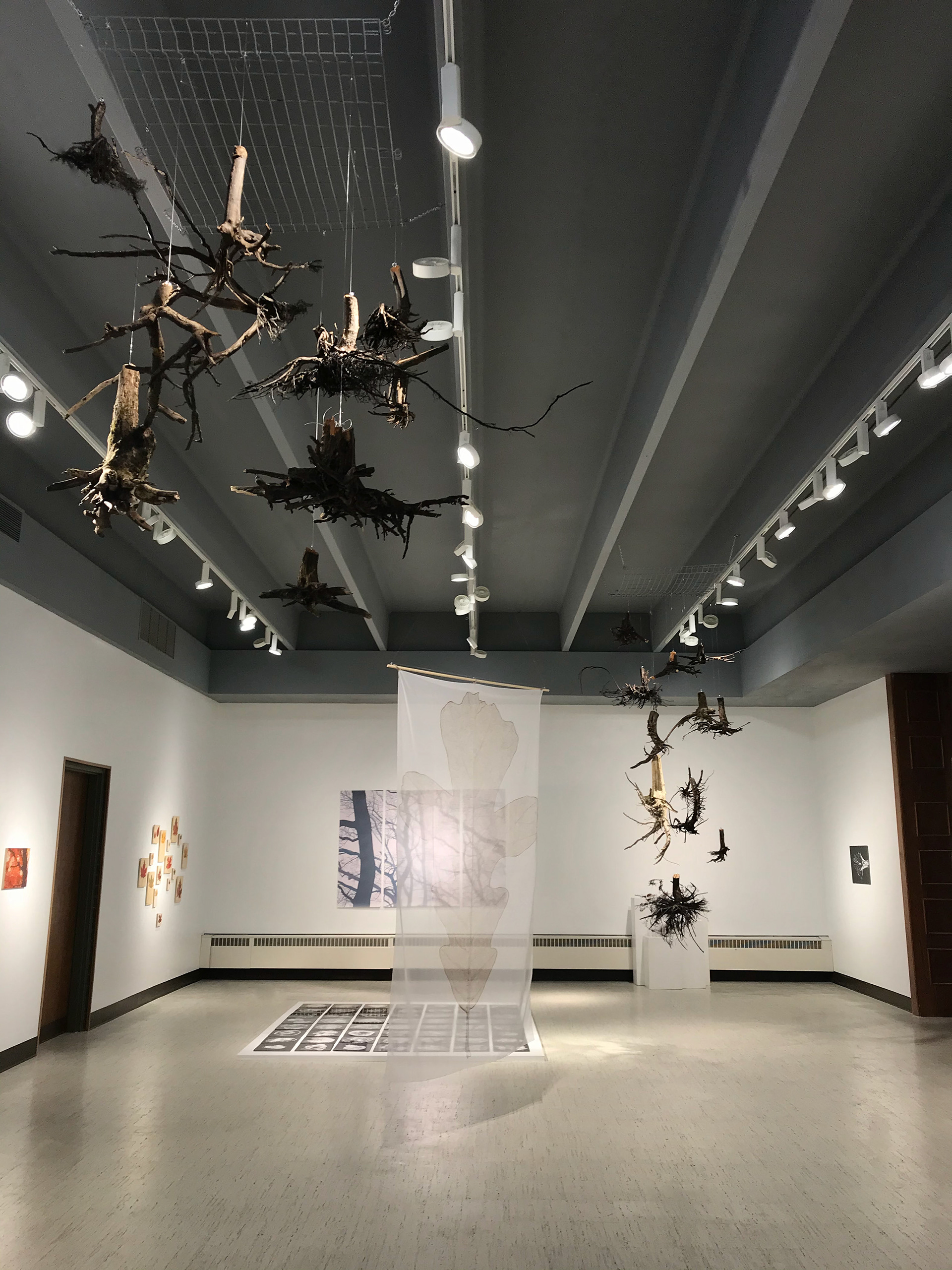Woodscape | Senior Thesis Exhibition
