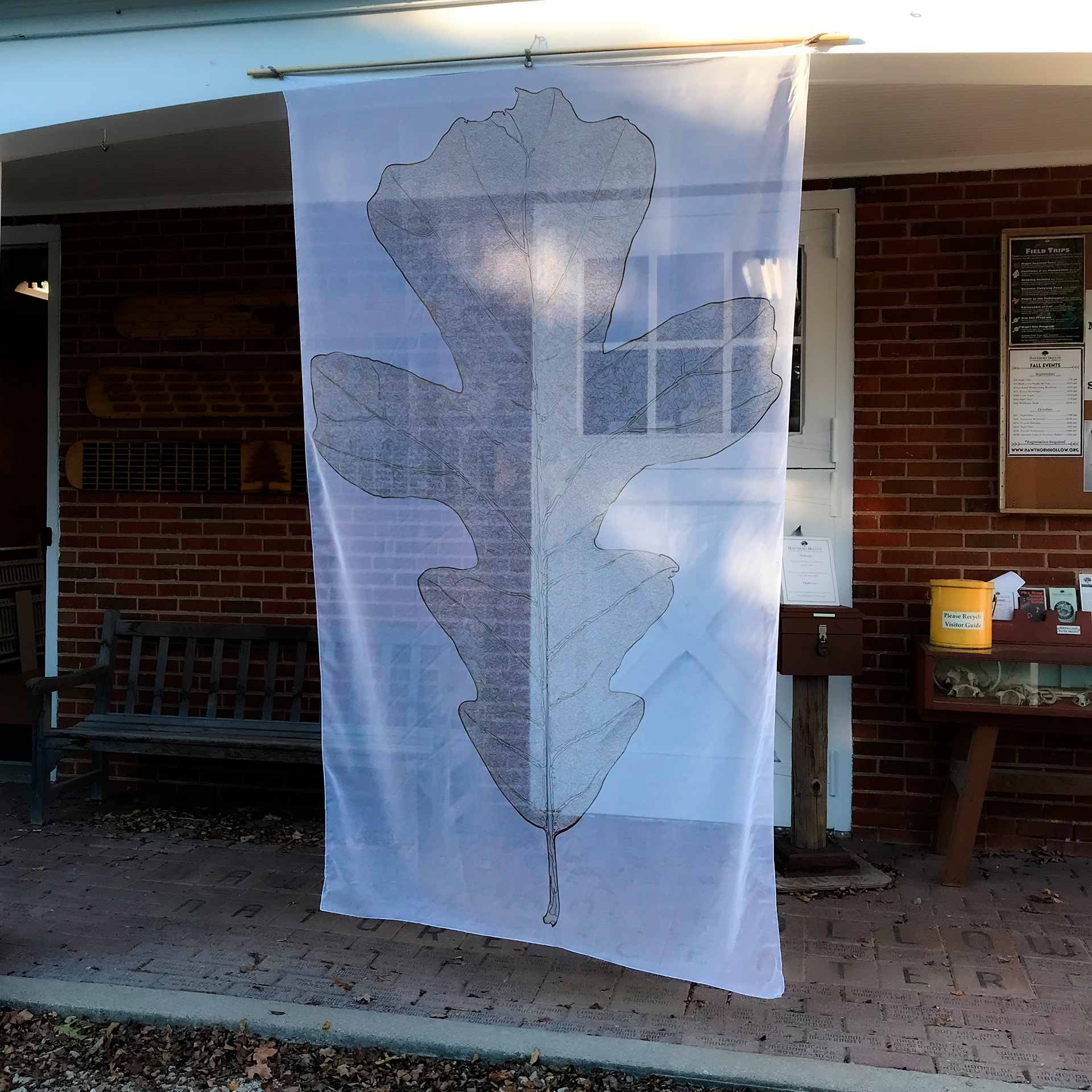 Artist in Residency Exhibition | Hawthorn Hollow