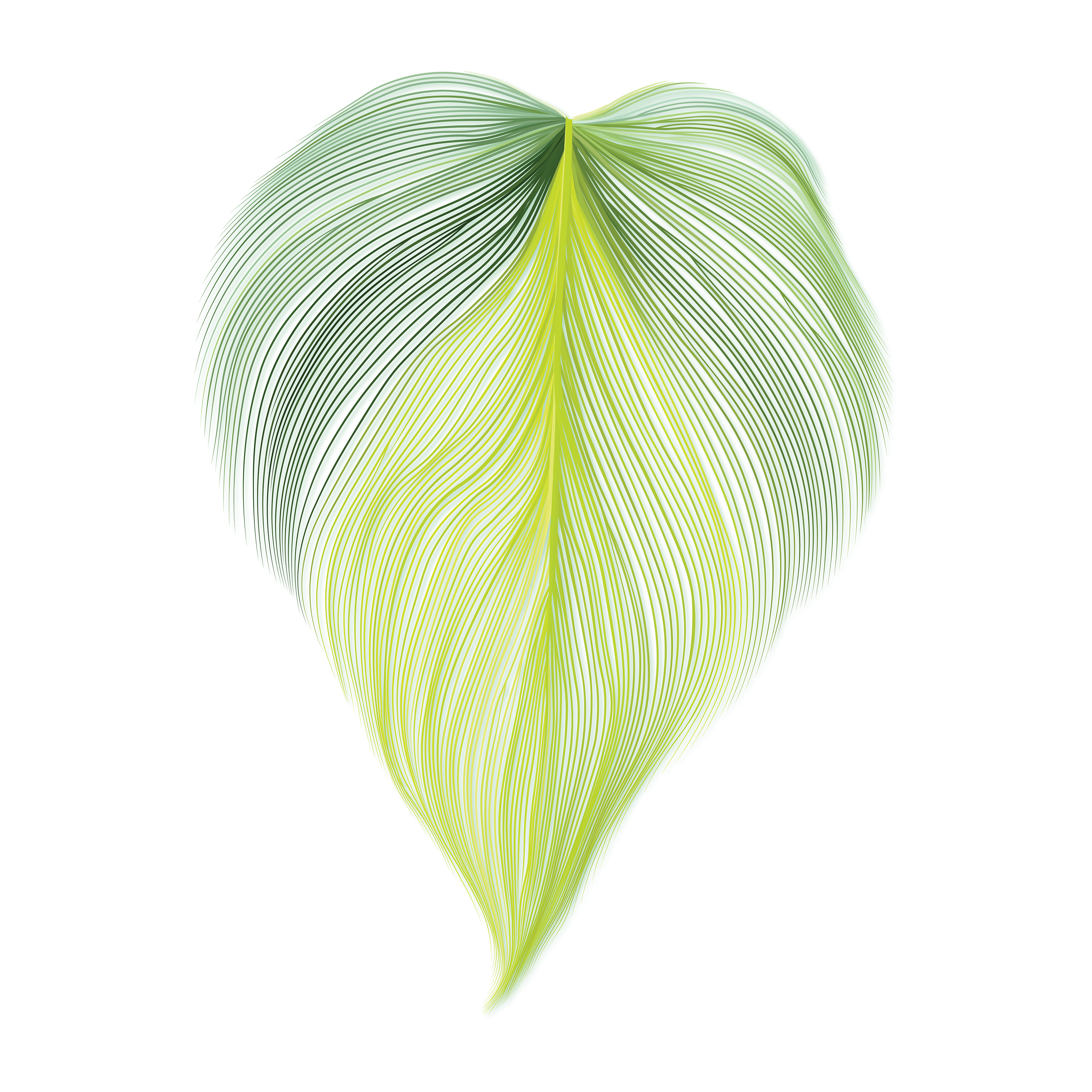 Vilevine, Veins 2 | Linage Style