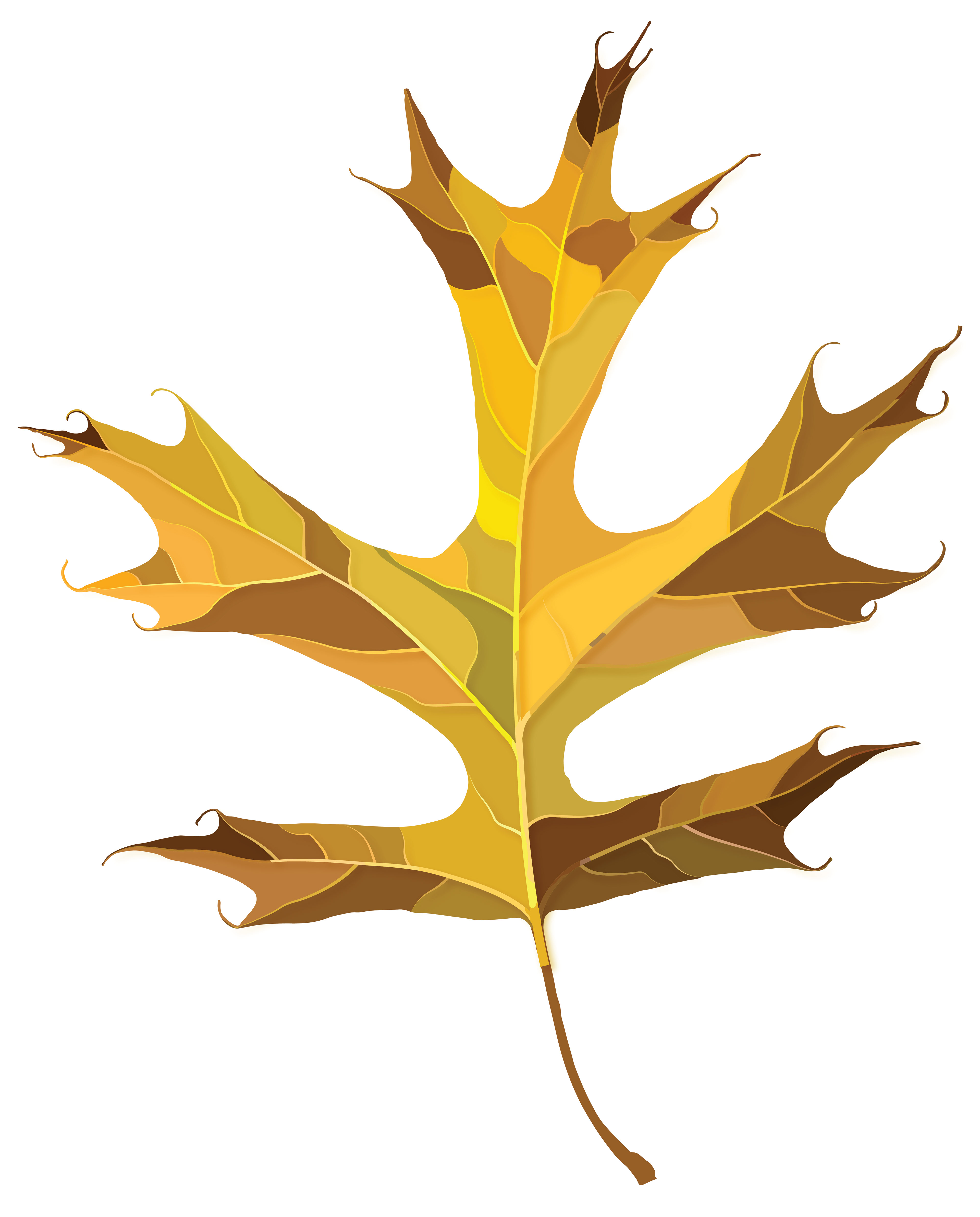 Pin Oak | Quilted Style