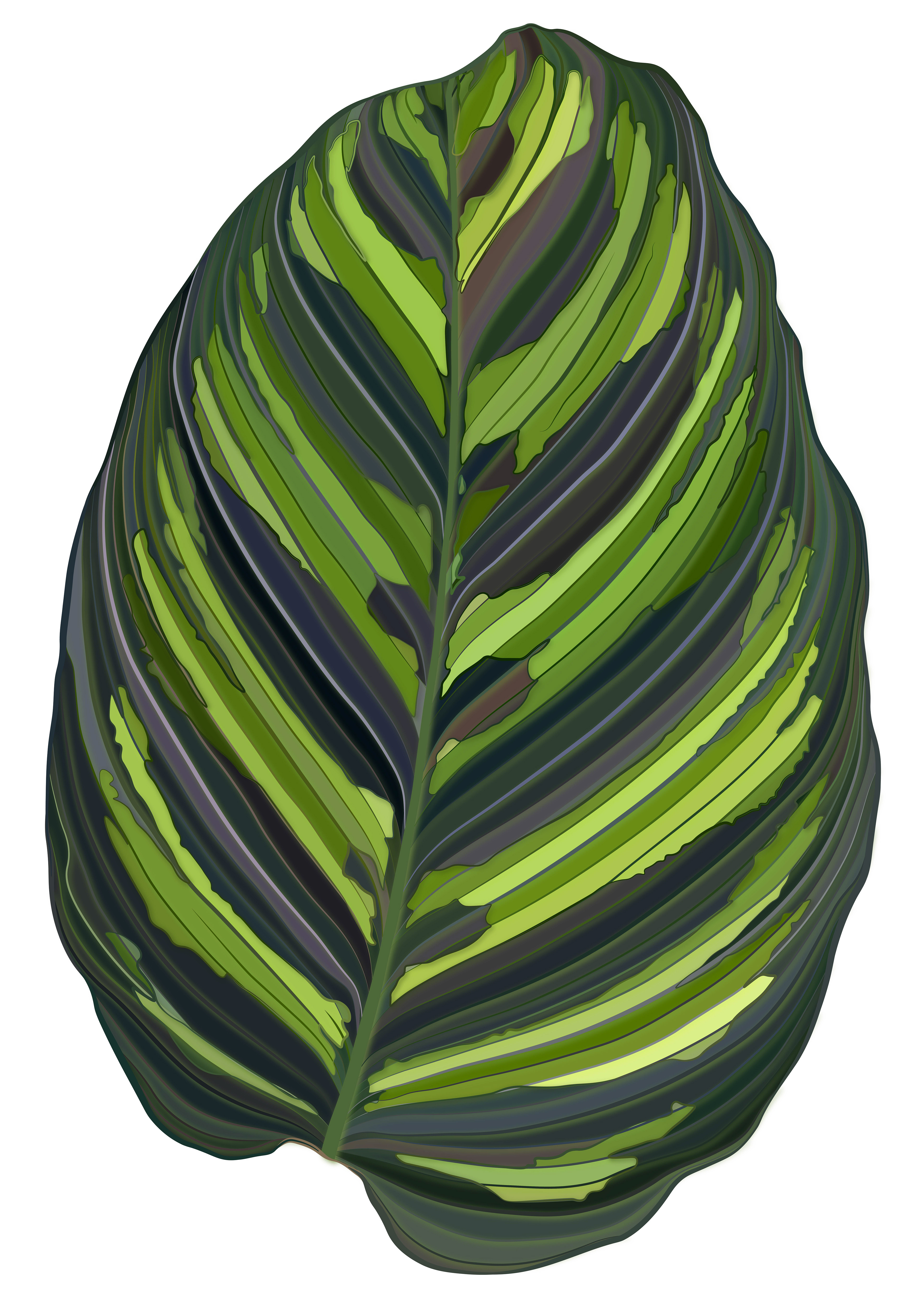 Peacock Plant | Quilted Style
