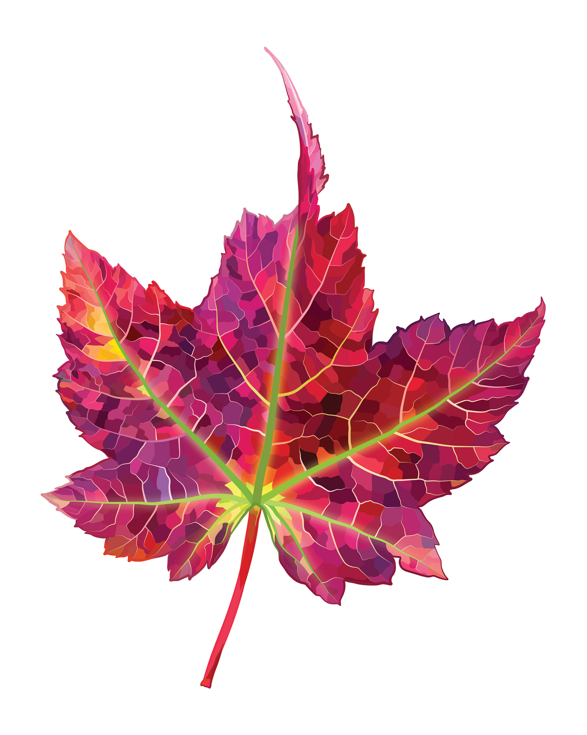 Vibrant Red Maple | Quilted Style