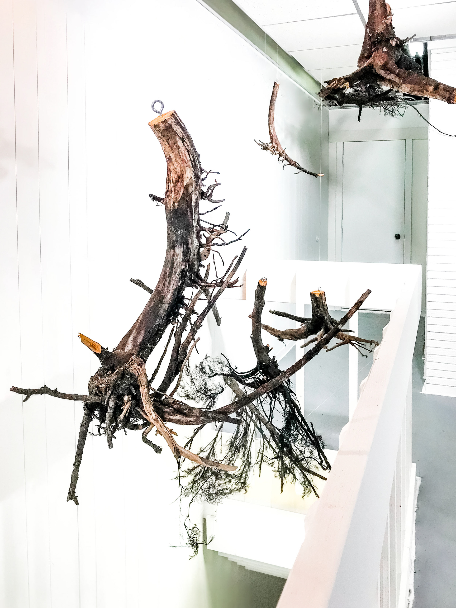Earth Day Exhibition | Kenosha Creative Space