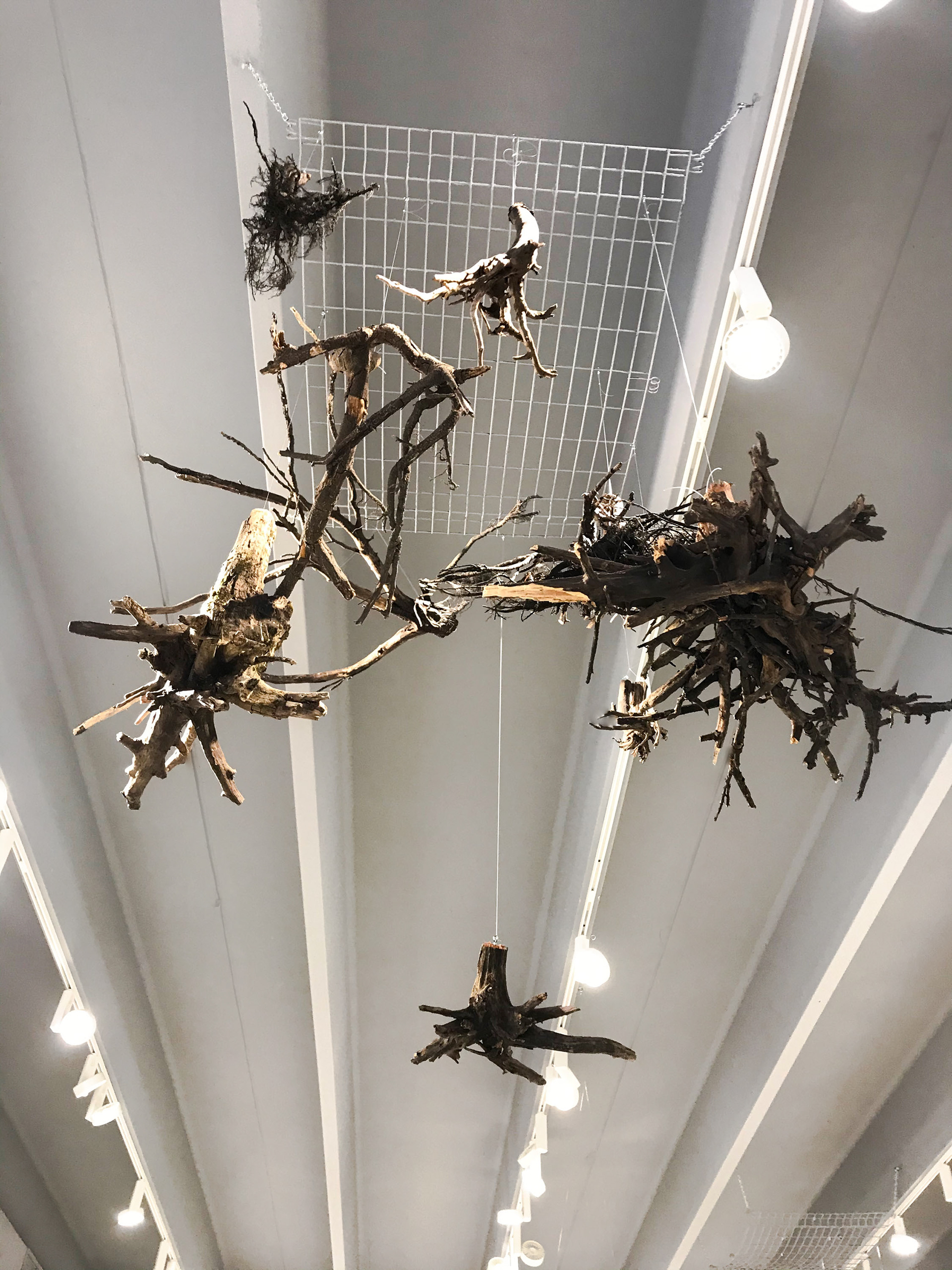 Woodscape | Senior Thesis Exhibition