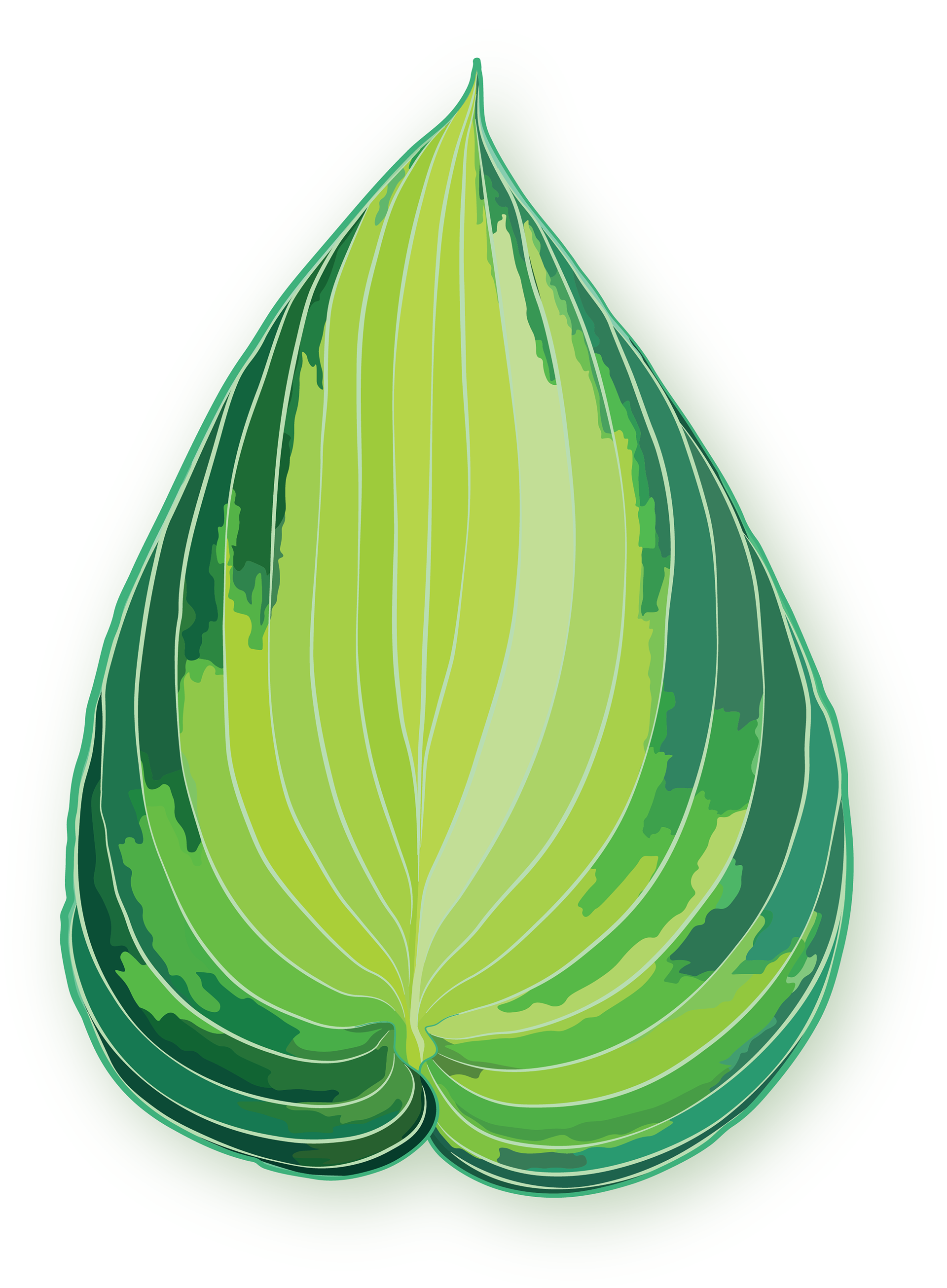 June Hosta | Quilted Style