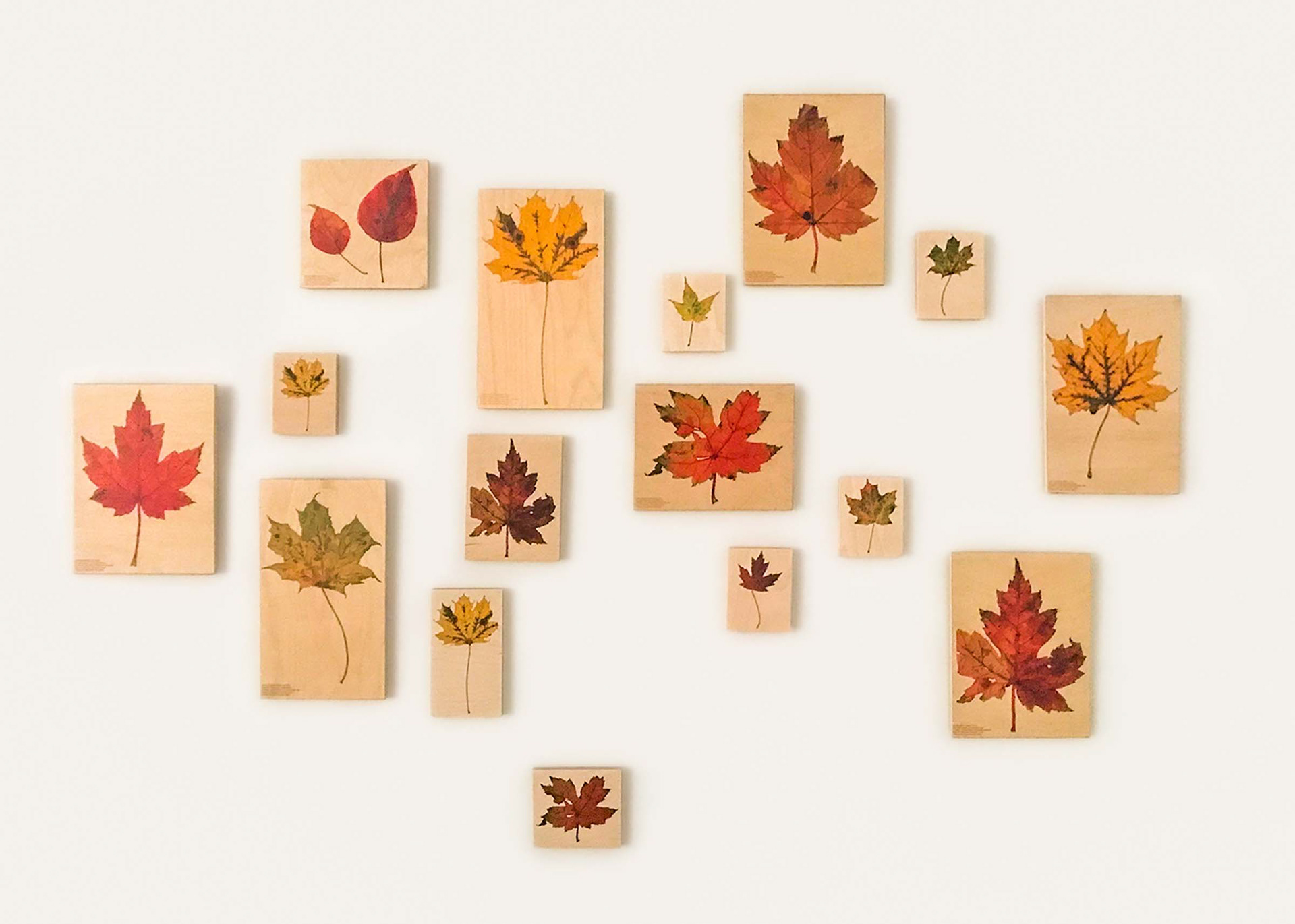 Stunning art display Fall Leaf illustration art on wood