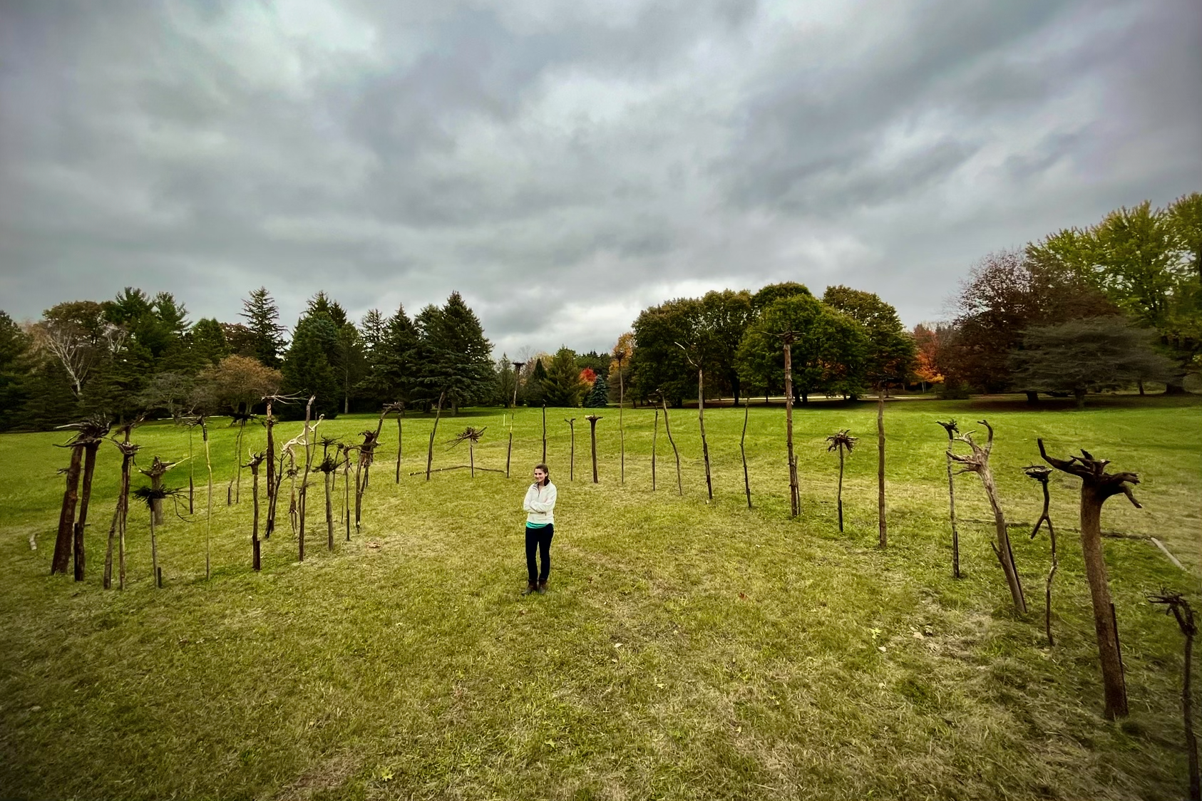 Artist Portrait Overhead shot of Golden Spiral Tree Root Installation at Hawthorn Hollow