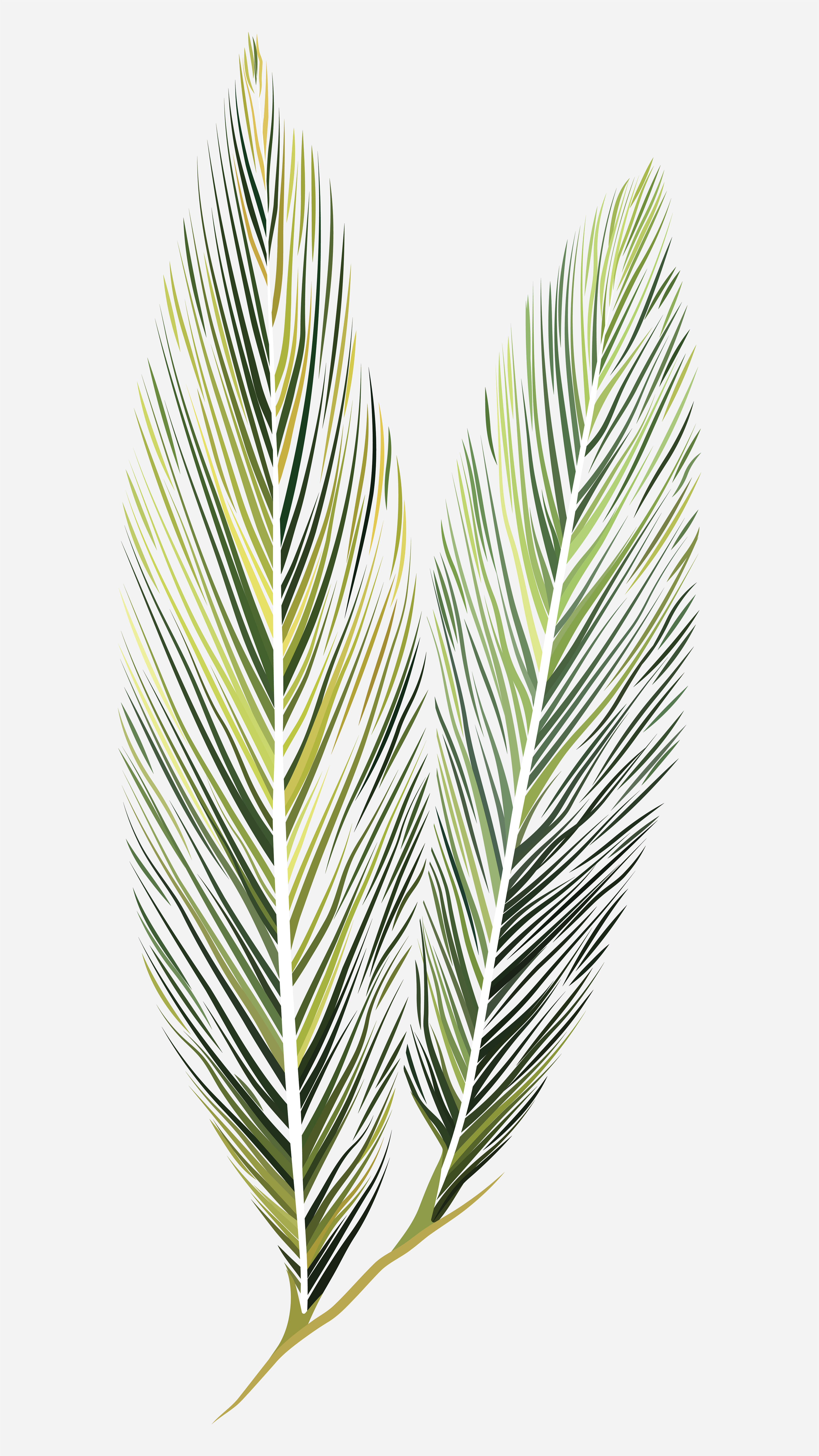 Shell Ginger Leaf | Linage Style