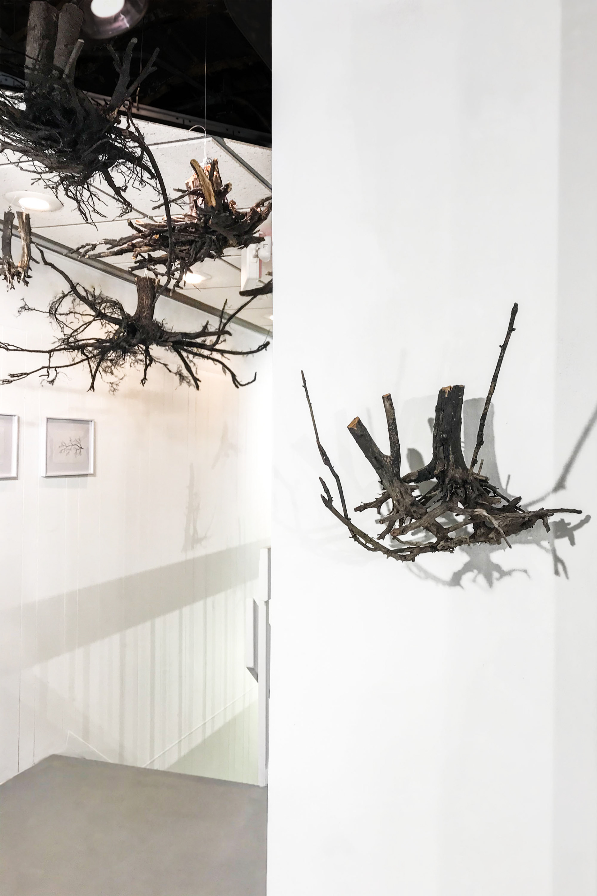 Earth Day Exhibition | Kenosha Creative Space