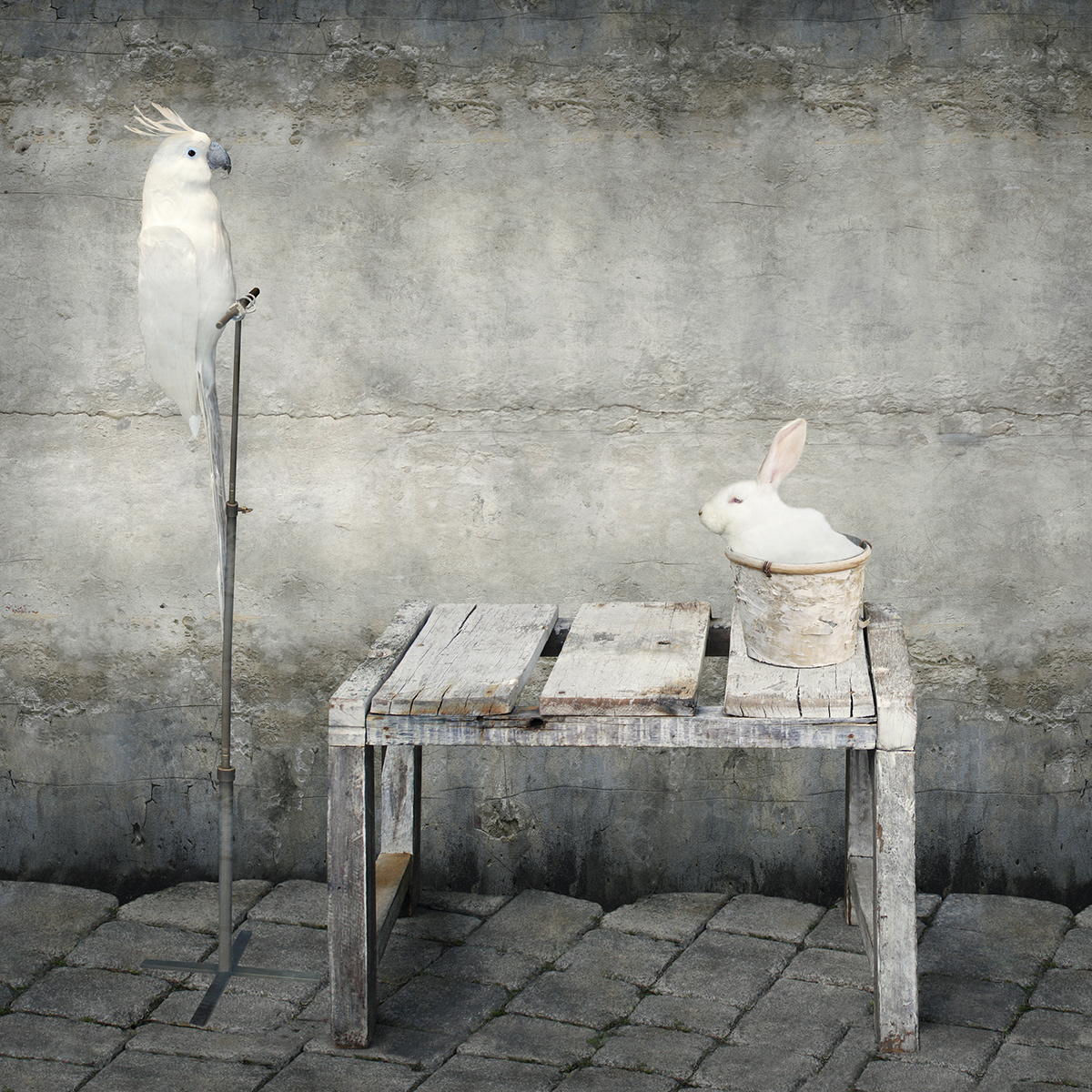 • The Theatre of Silence • A masterfully minimal and enigmatic dreamscape where white creatures find a still, timeless refuge under a pale, existential light.