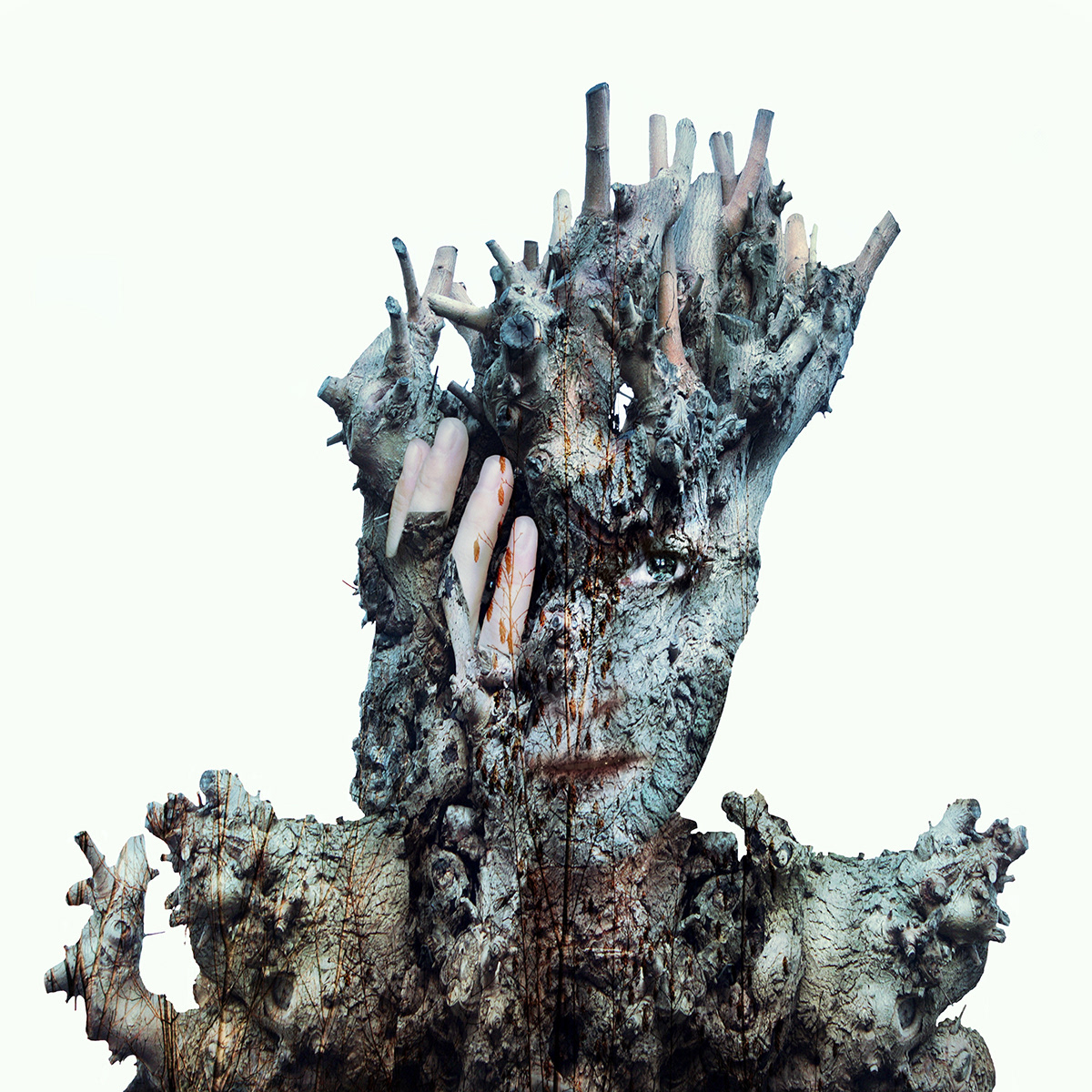 • The Architecture of Memory • A powerful and deeply psychological portrait where a serene human countenance emerges from the ancient bark of a living tree.
