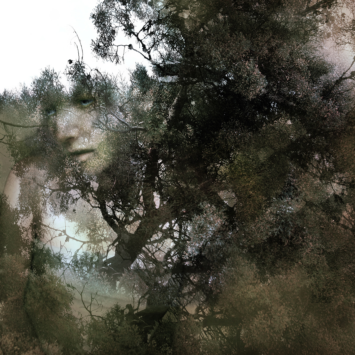 • Arboreal Synthesis • An intricate and hauntingly beautiful visual allegory showcasing the silent, dark metamorphosis between humanity and organic nature.