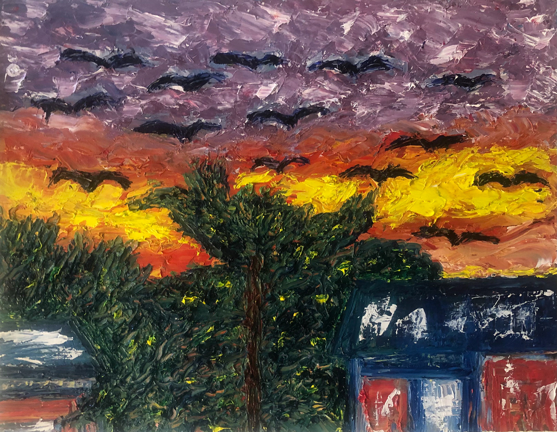 Sunsets and Colored Skies 5