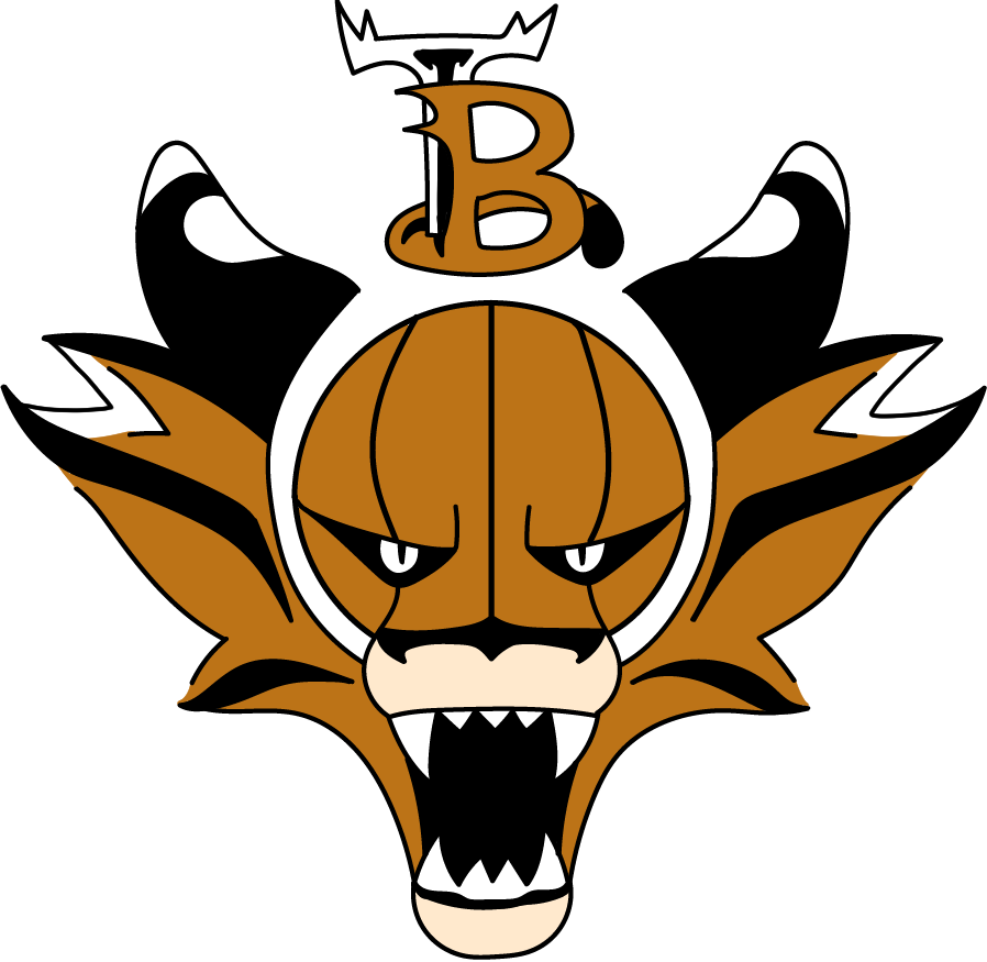 Tiger Basketball Logo