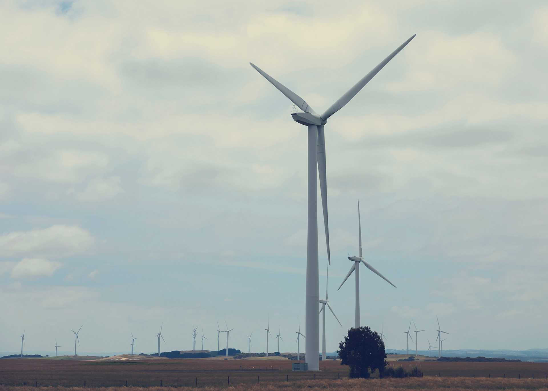 Majestic Windfarm