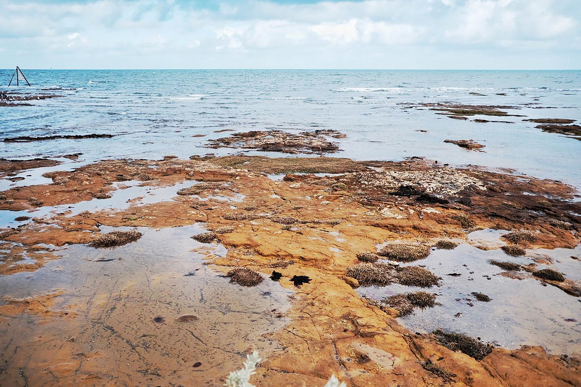 Rickett's Point, Victoria