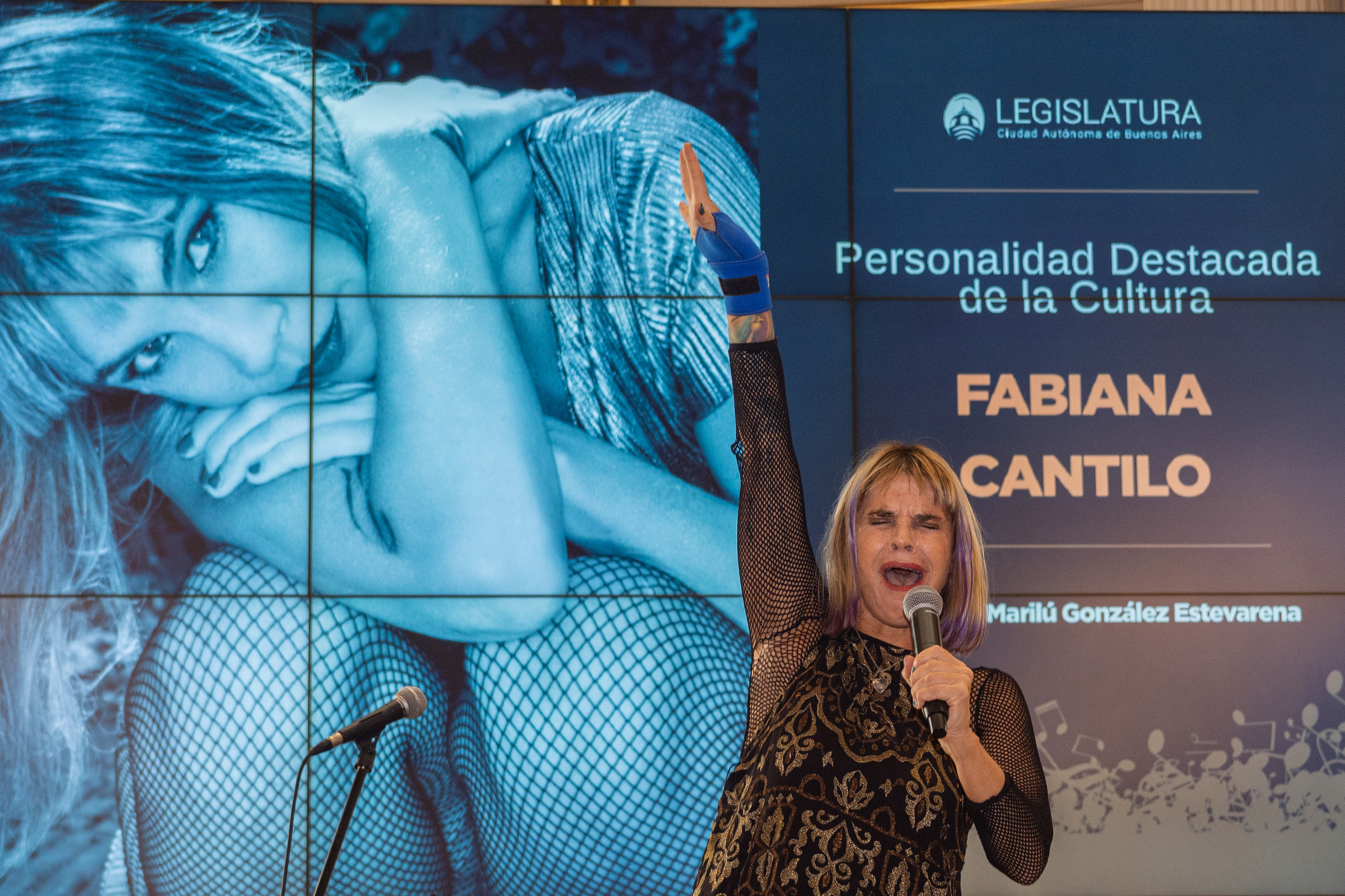 Fabiana Cantilo - Legislatura porteña