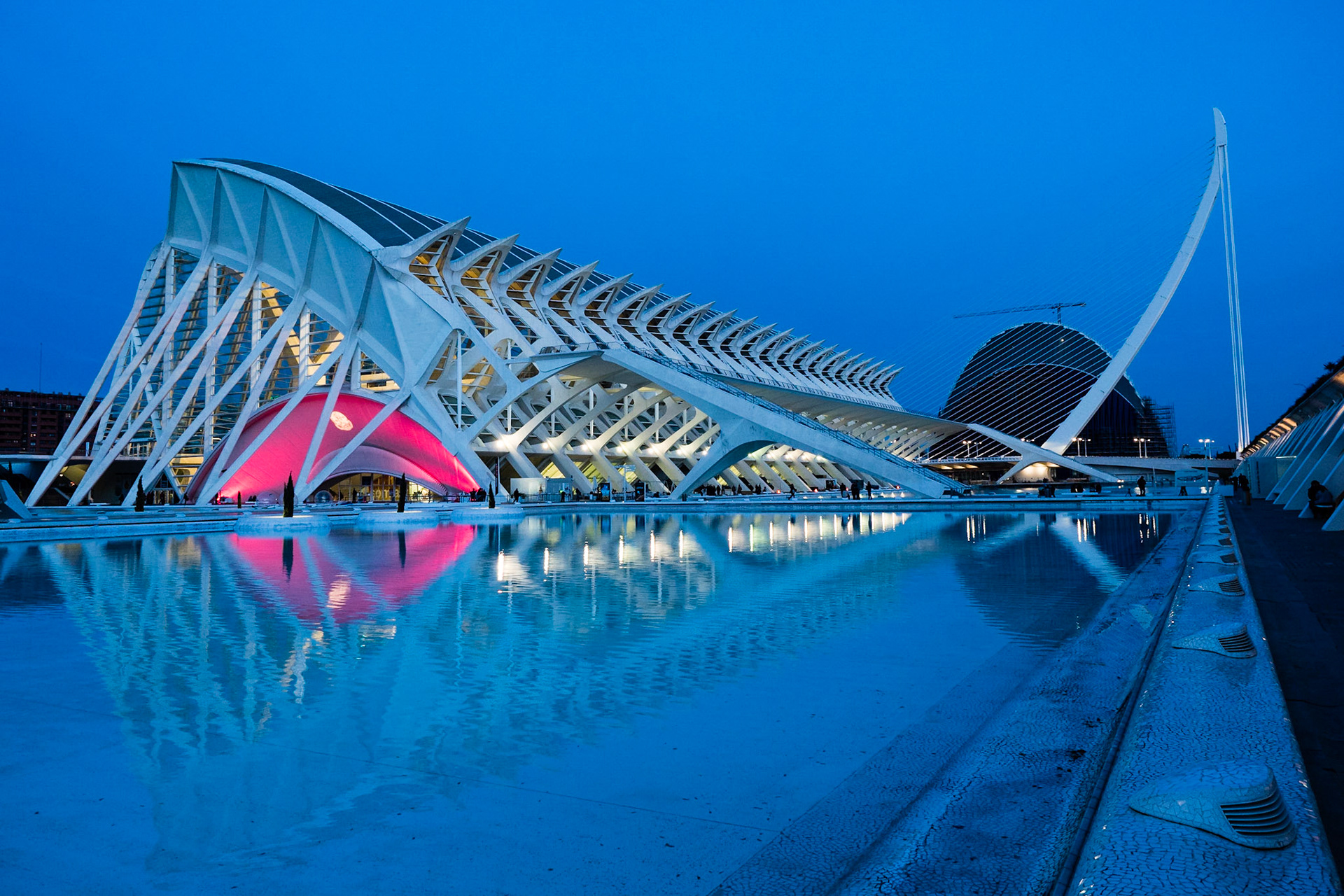 Museum of Sciences, Valencia - Santiago Calatrava