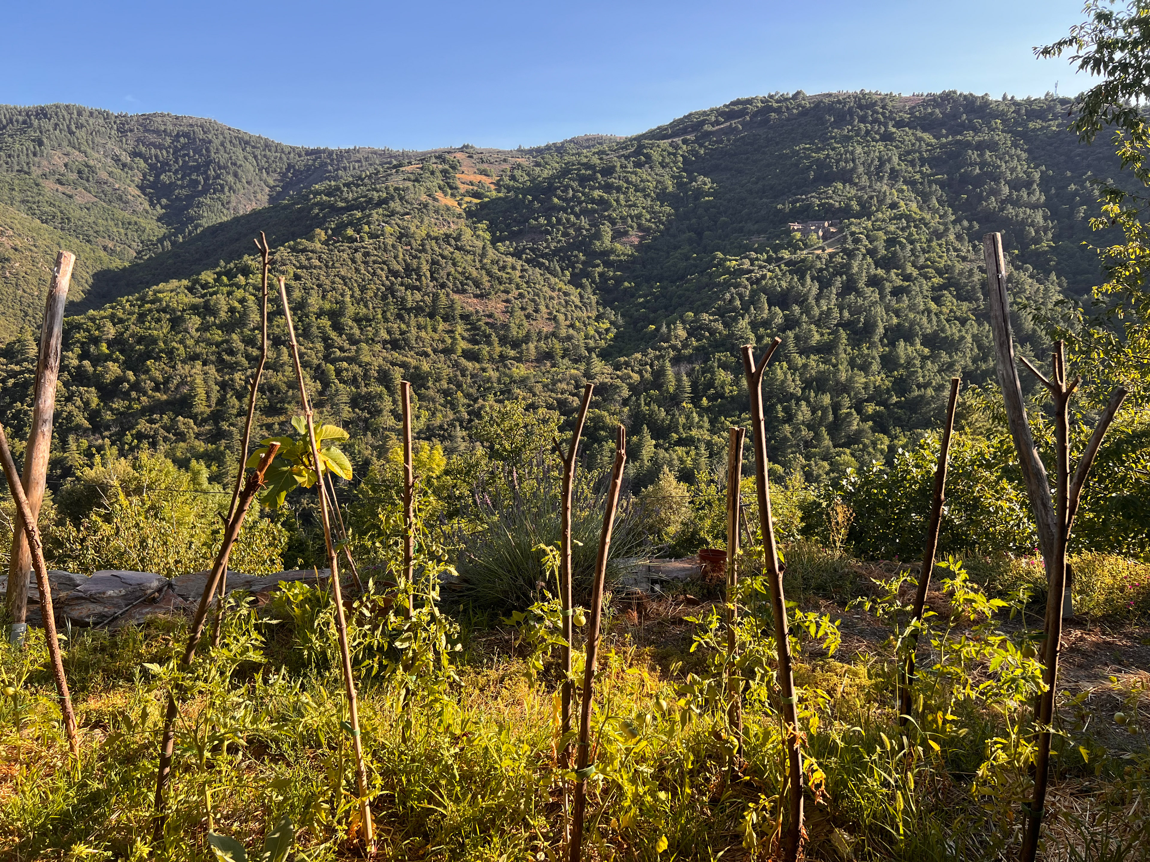 2024 - Cévennes