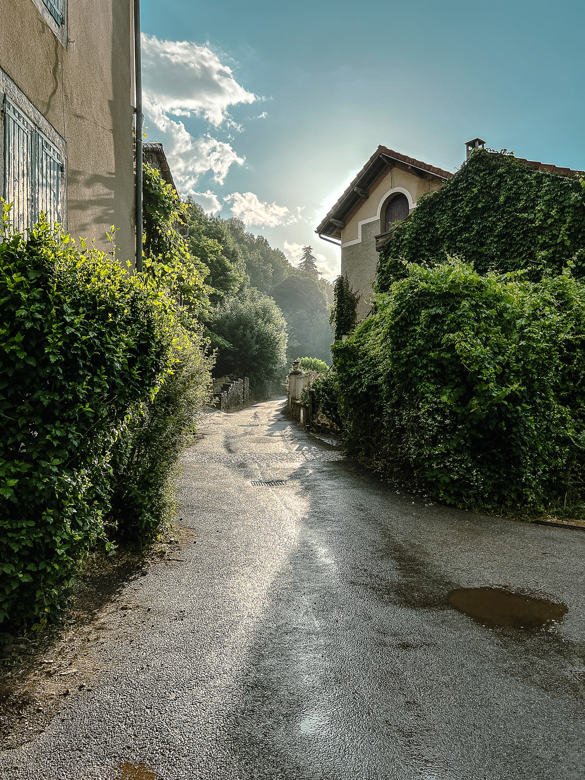 2022 - Cévennes