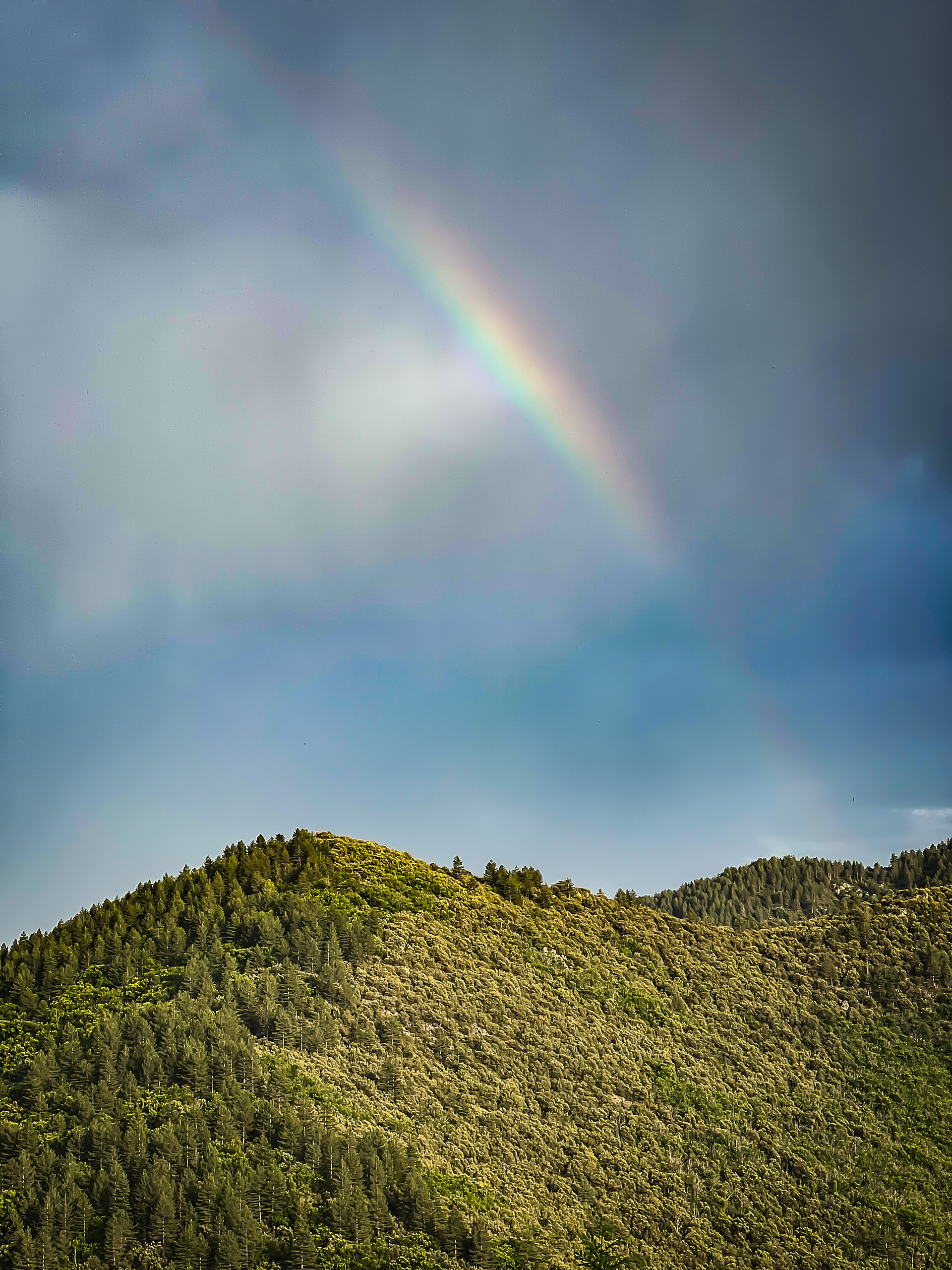 2023 - Cévennes