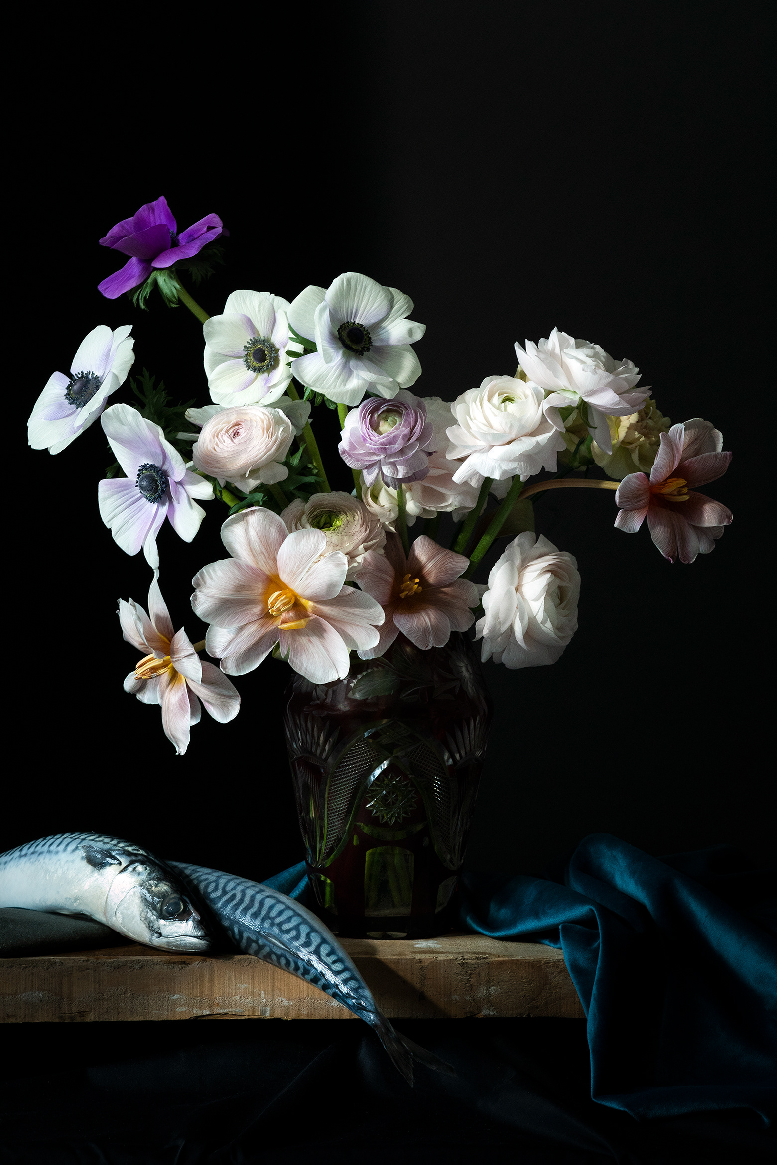Photo Virginie Pérocheau photographer, still-life,nature morte,esprit picturale,peinture hollandaise, clair obscur, bouquet,poissons,still life, pictorial spirit, Dutch painting, chiaroscuro, bouquet, fish