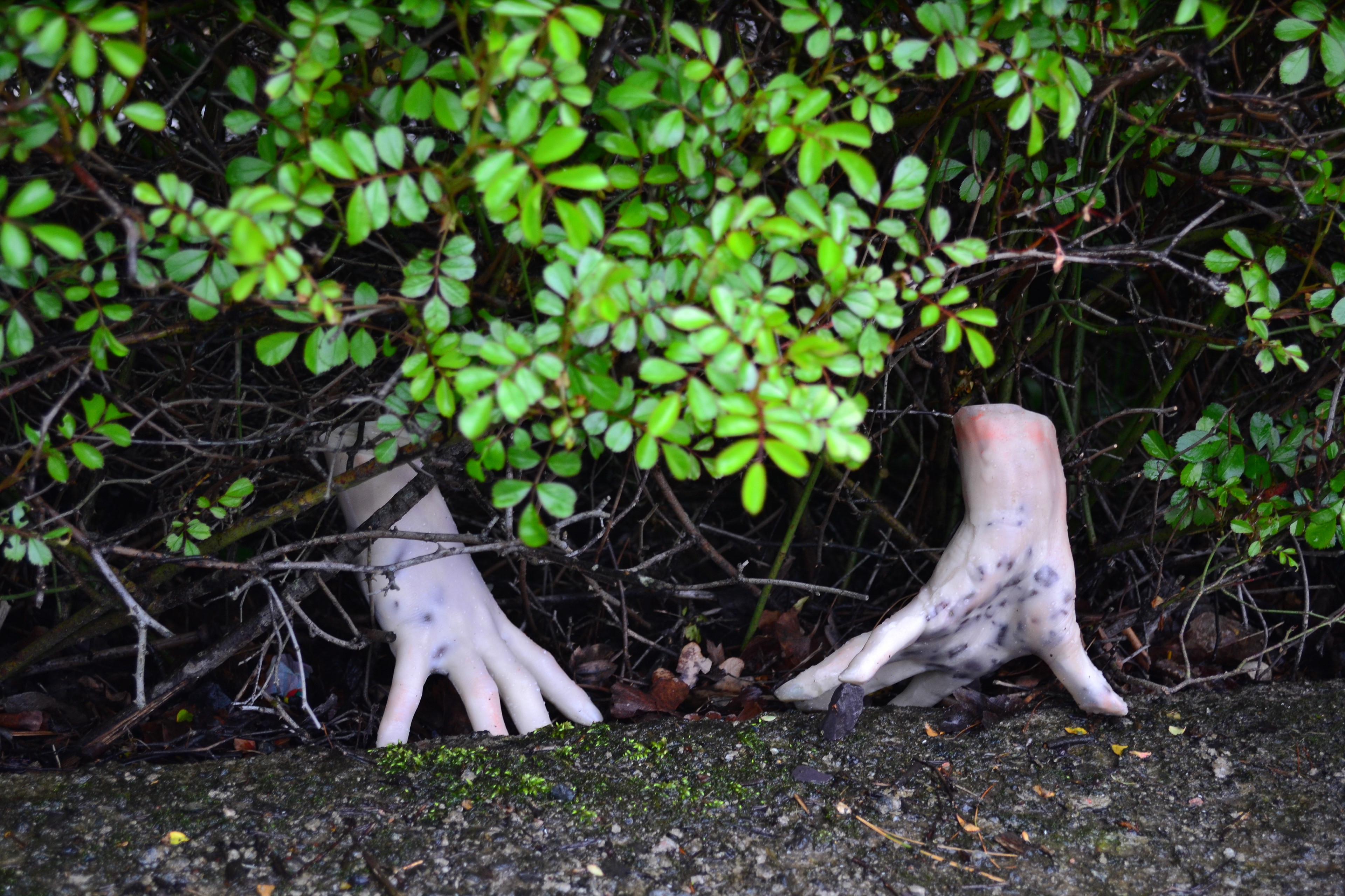 Alys Owen (Hidden Gardens)