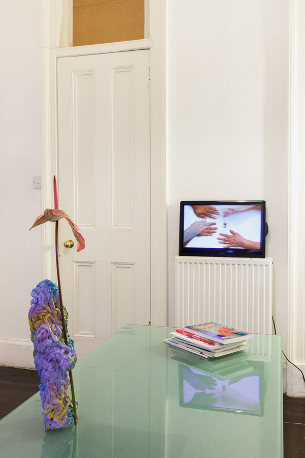 John Nicols|  Giovanni Giacoia