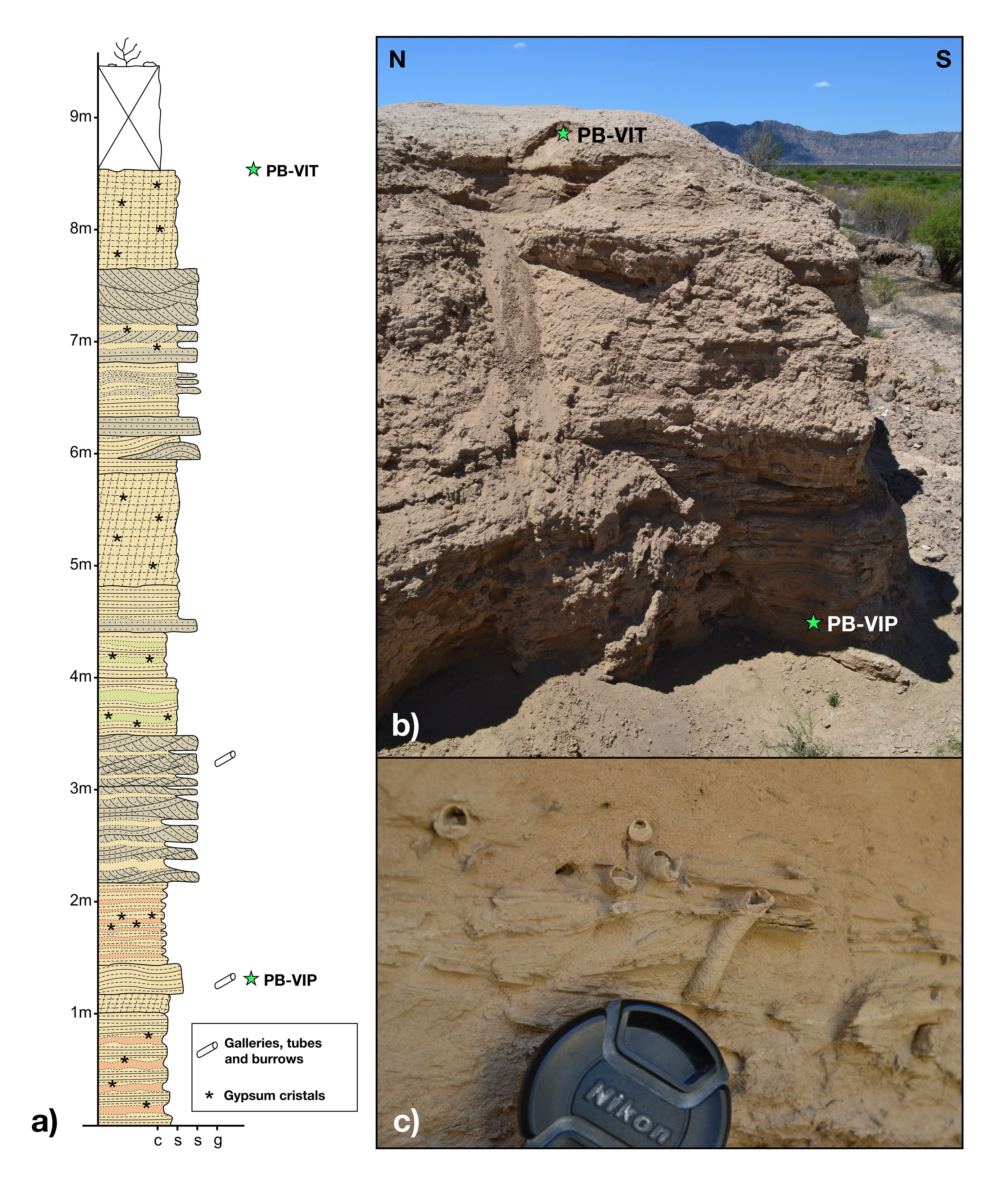 Columna estratigráfica