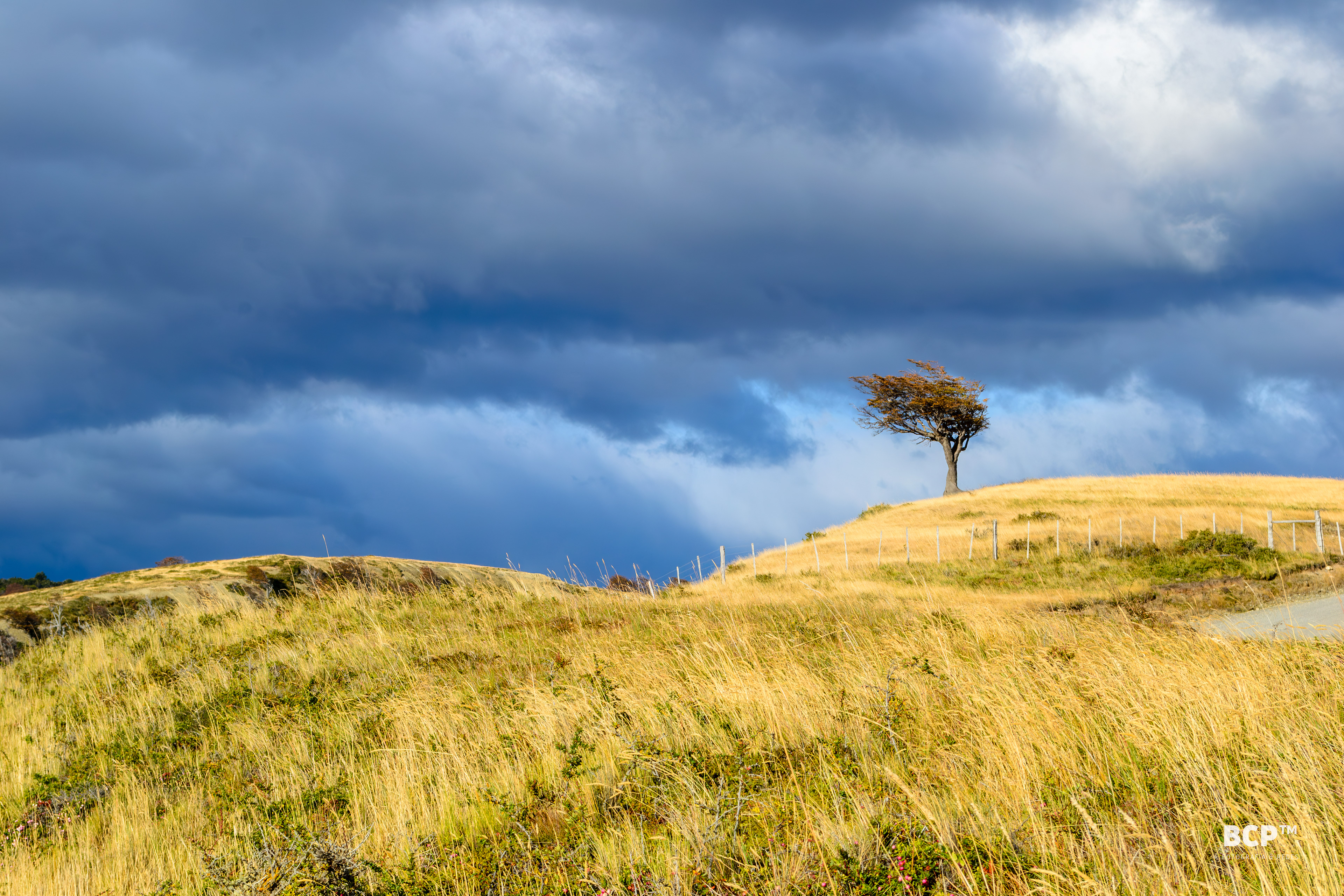 Estancia Harberton, Tierra del Fuego, Argentina