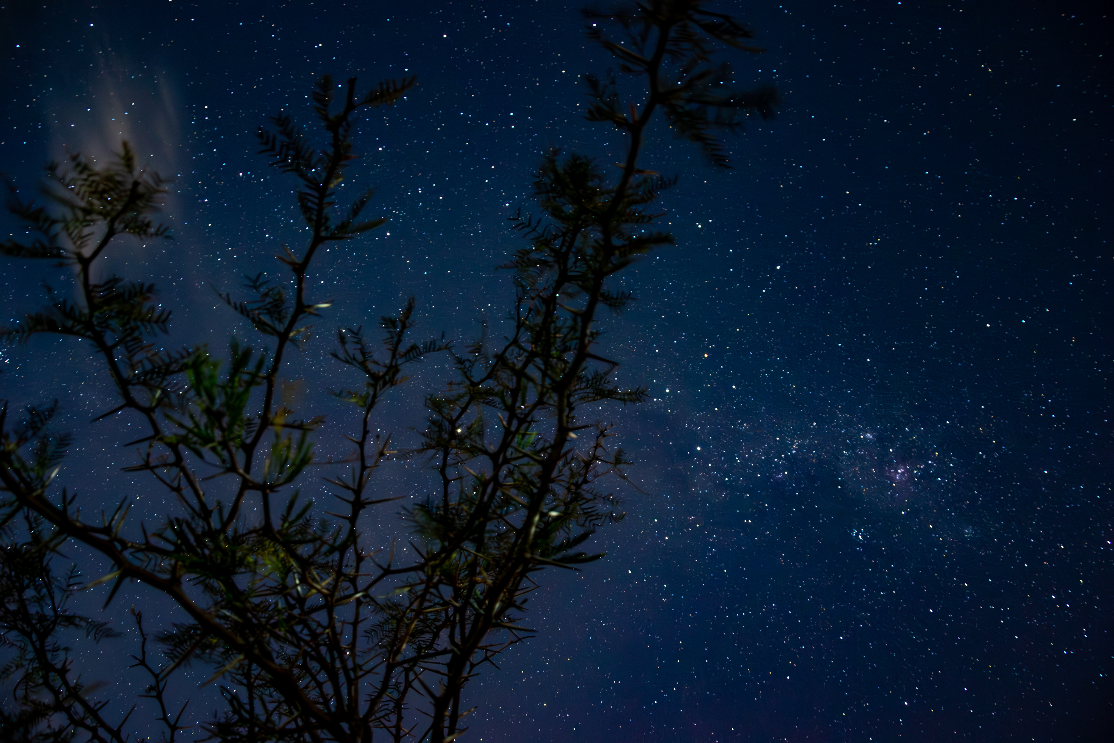 Valle de Zonda, San Juan, Argentina