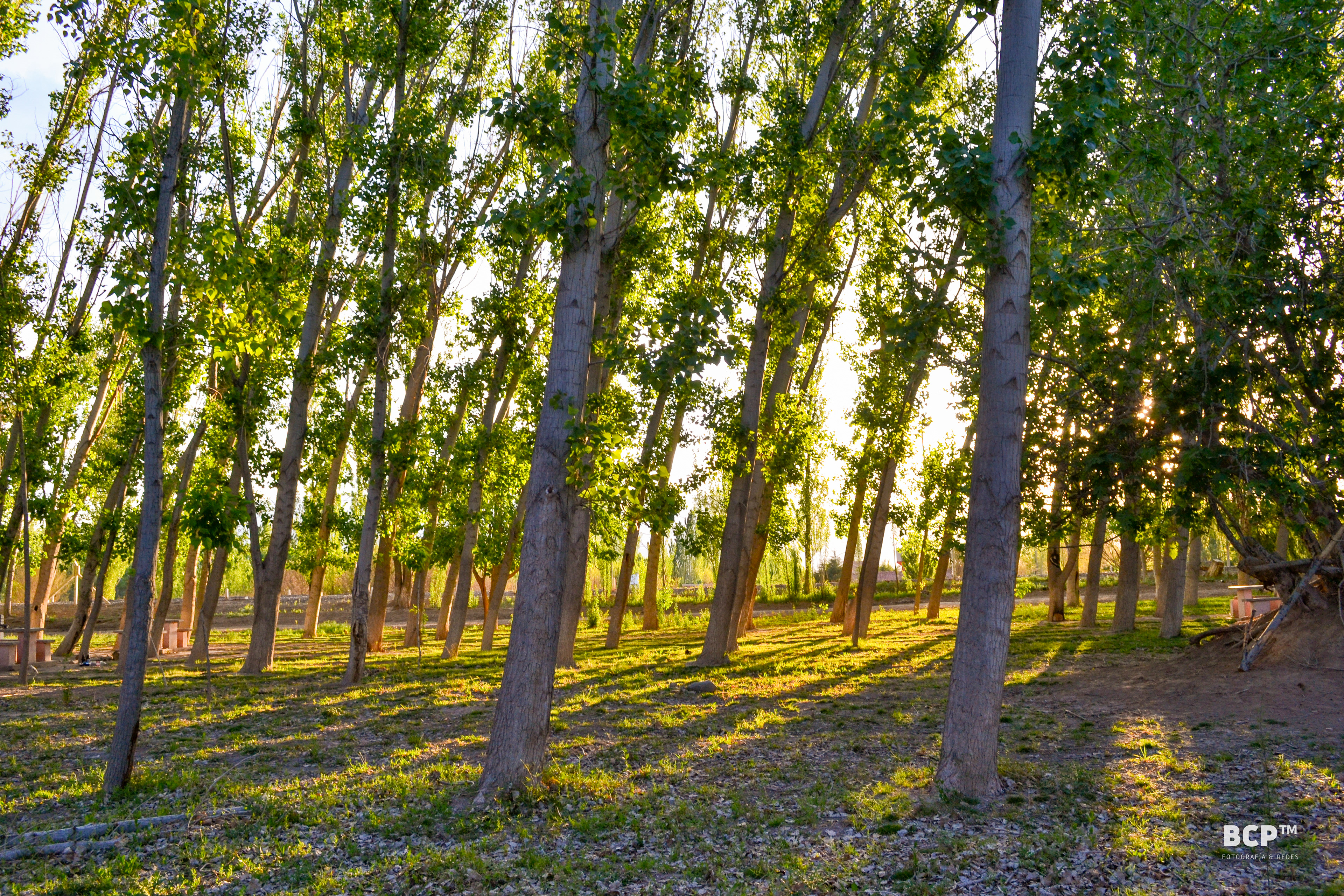 Camping de Zonda, San Juan, Argentina