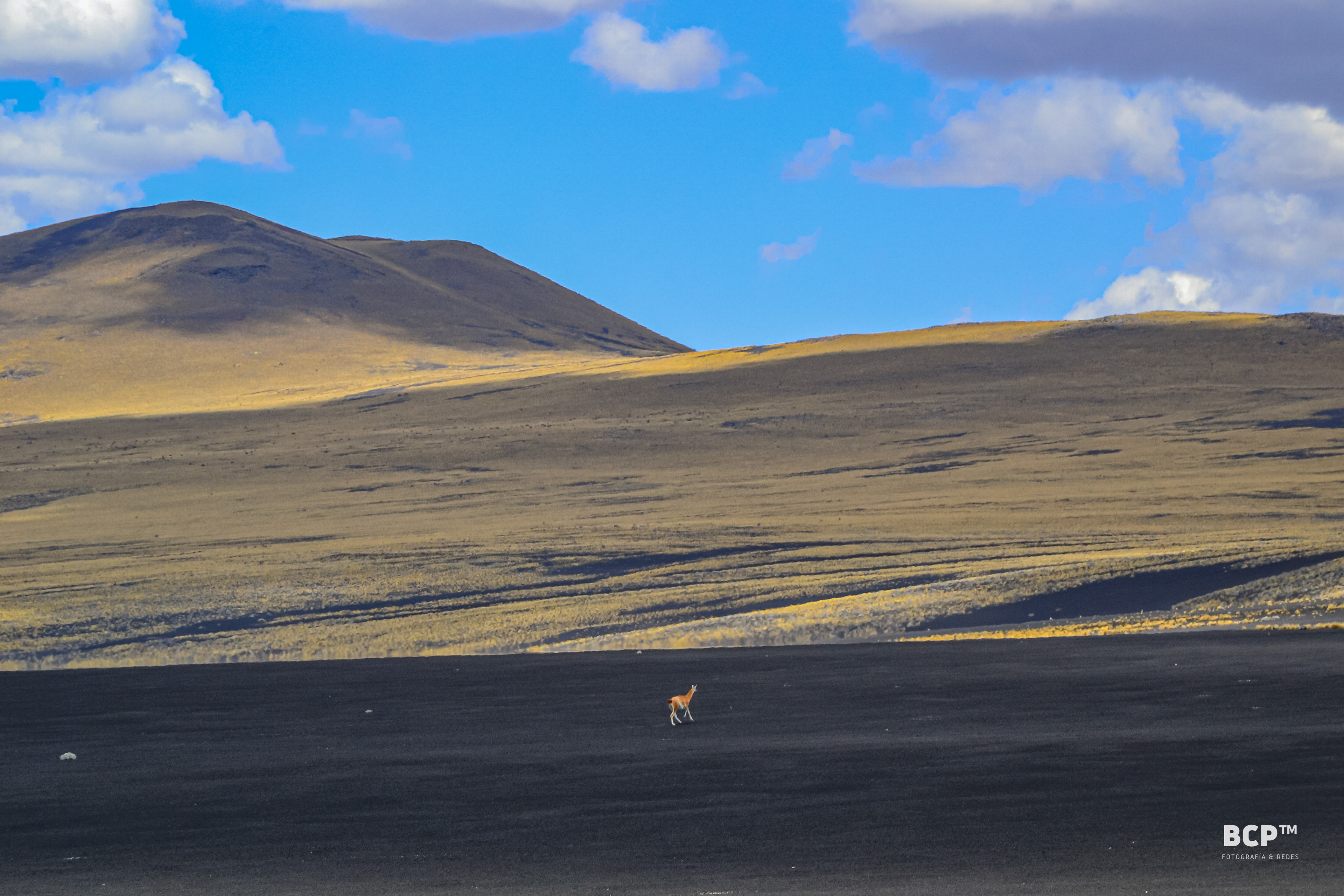 Payunia, Malargüe, Mendoza