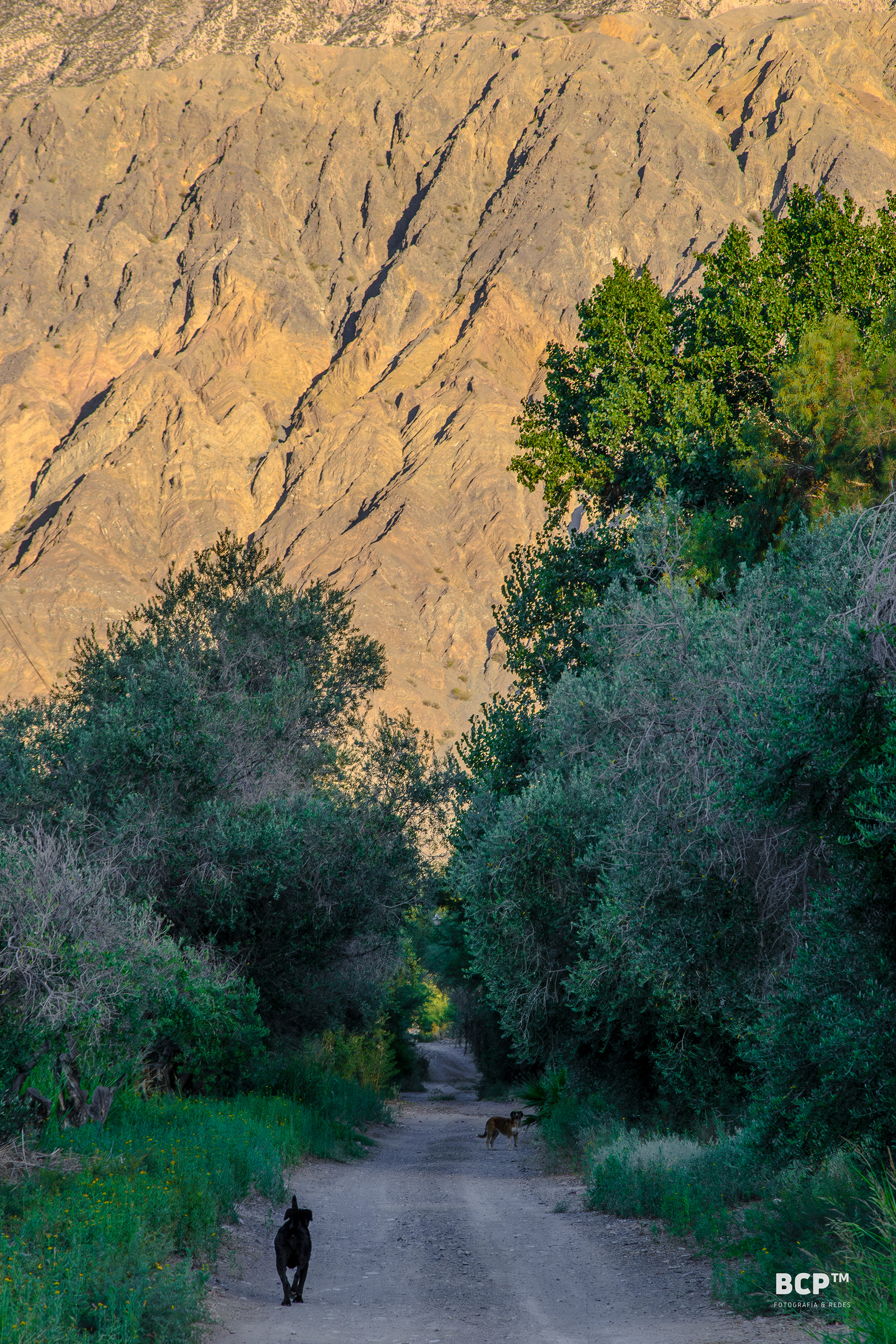 Sierra Chica de Zonda, San Juan, Argentina