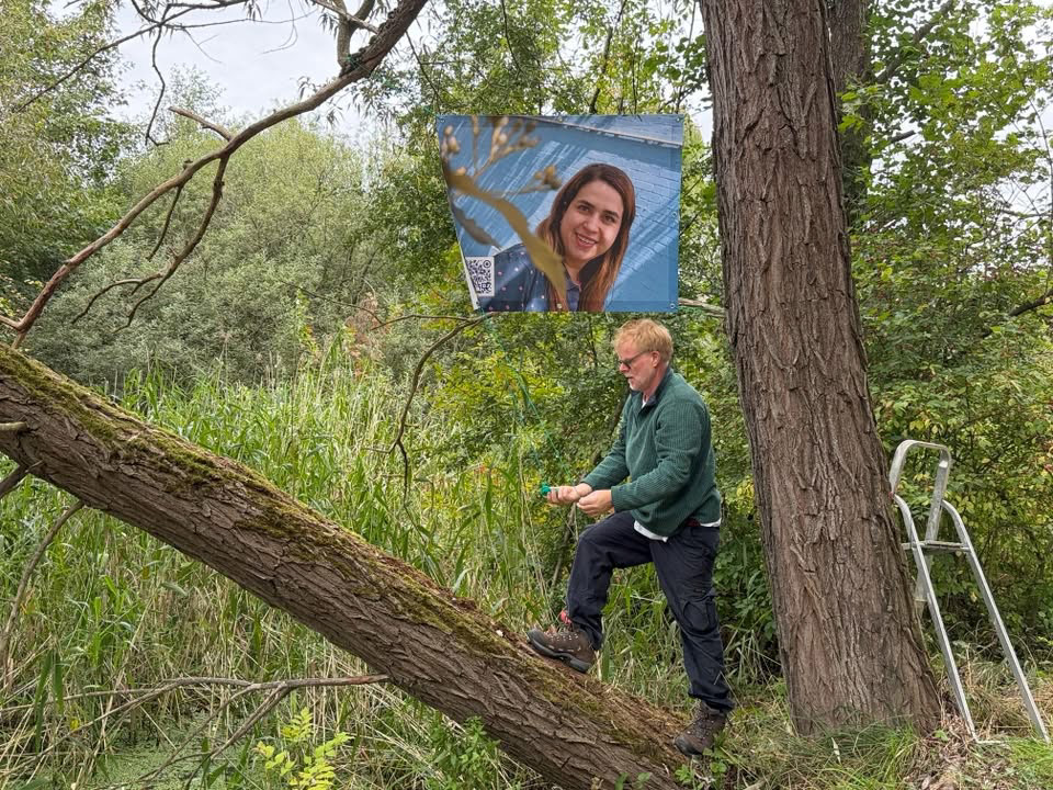 Installing Artwork in the park