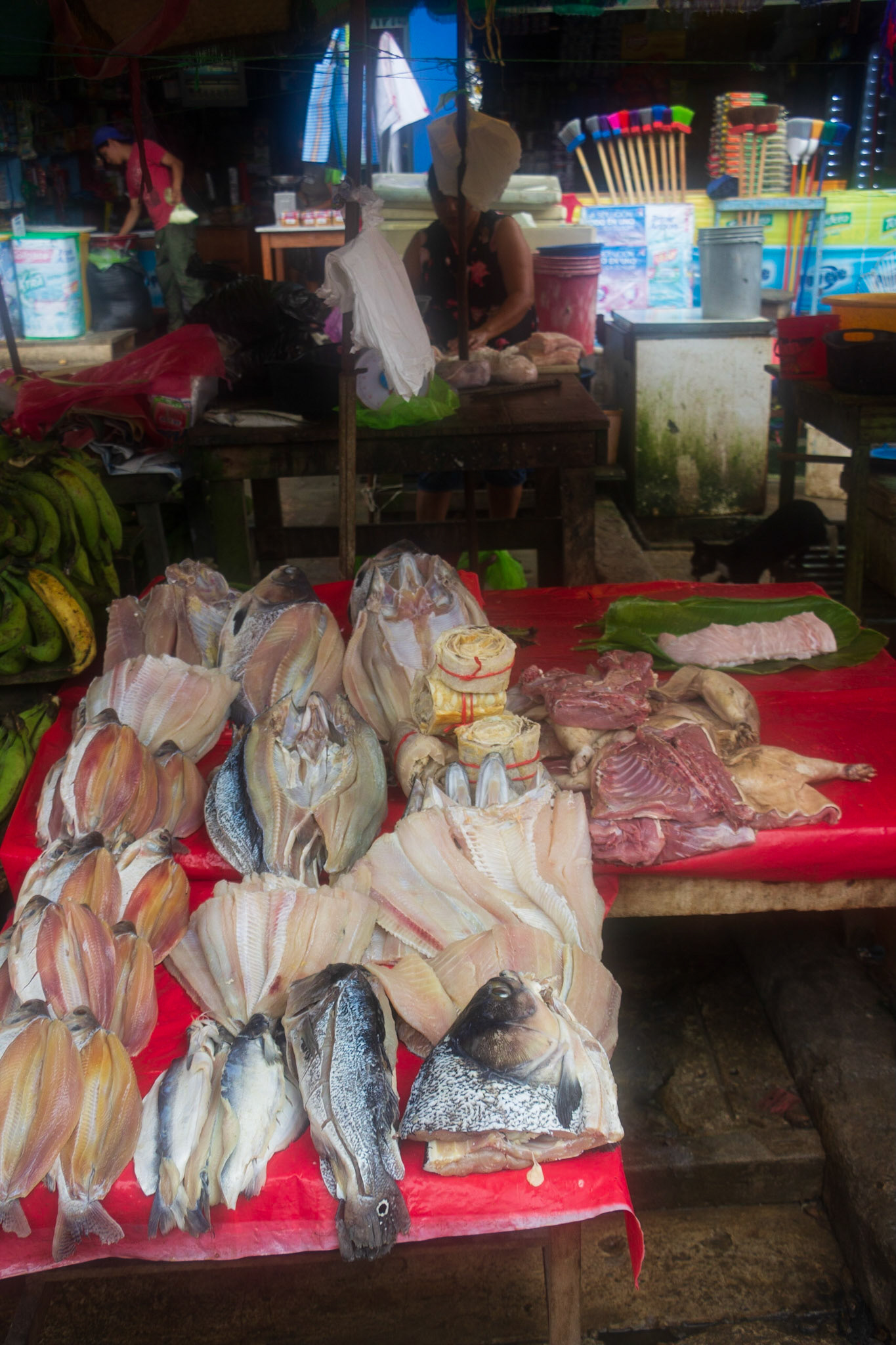 Iquitos